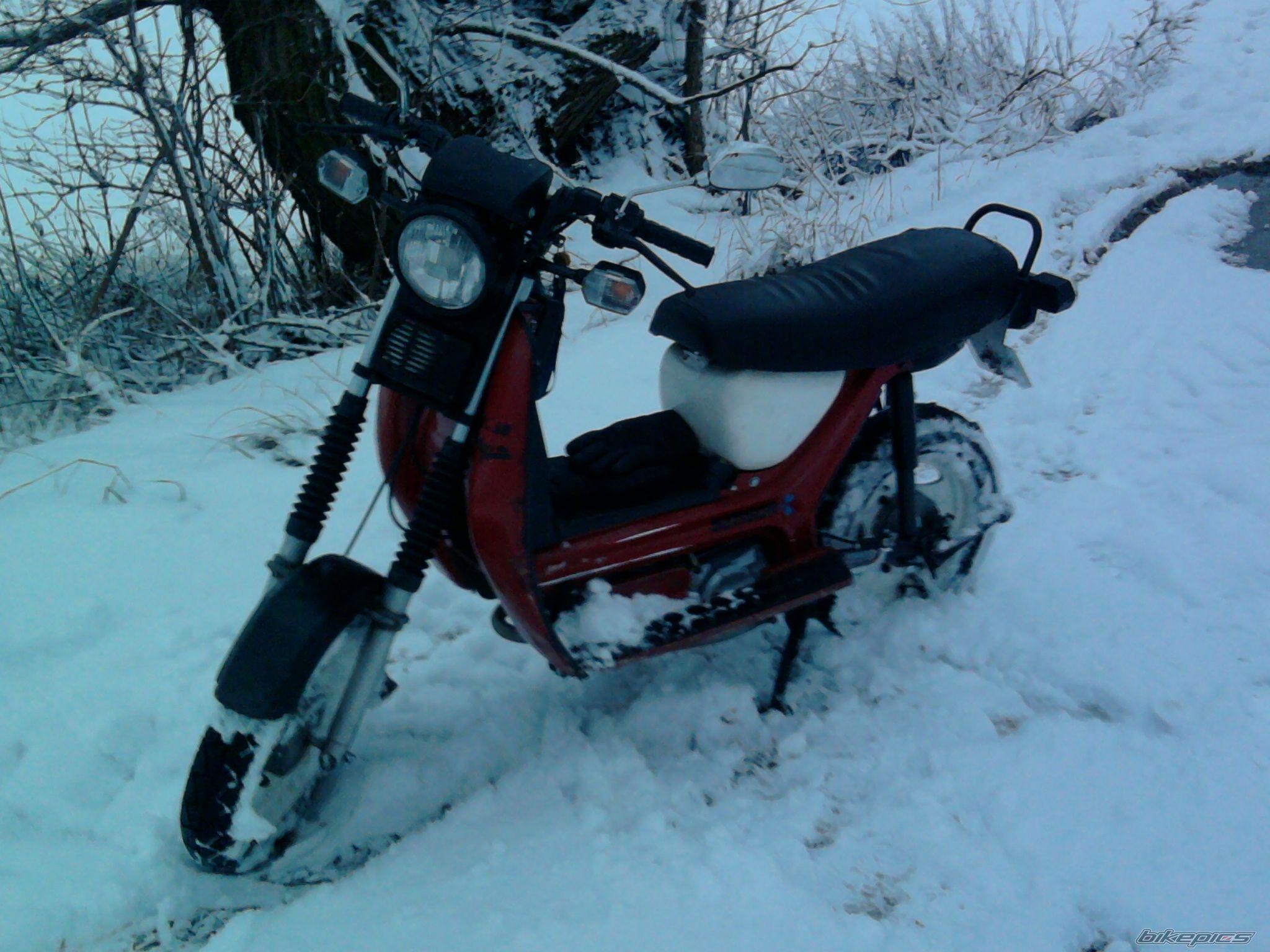Photo 2336285