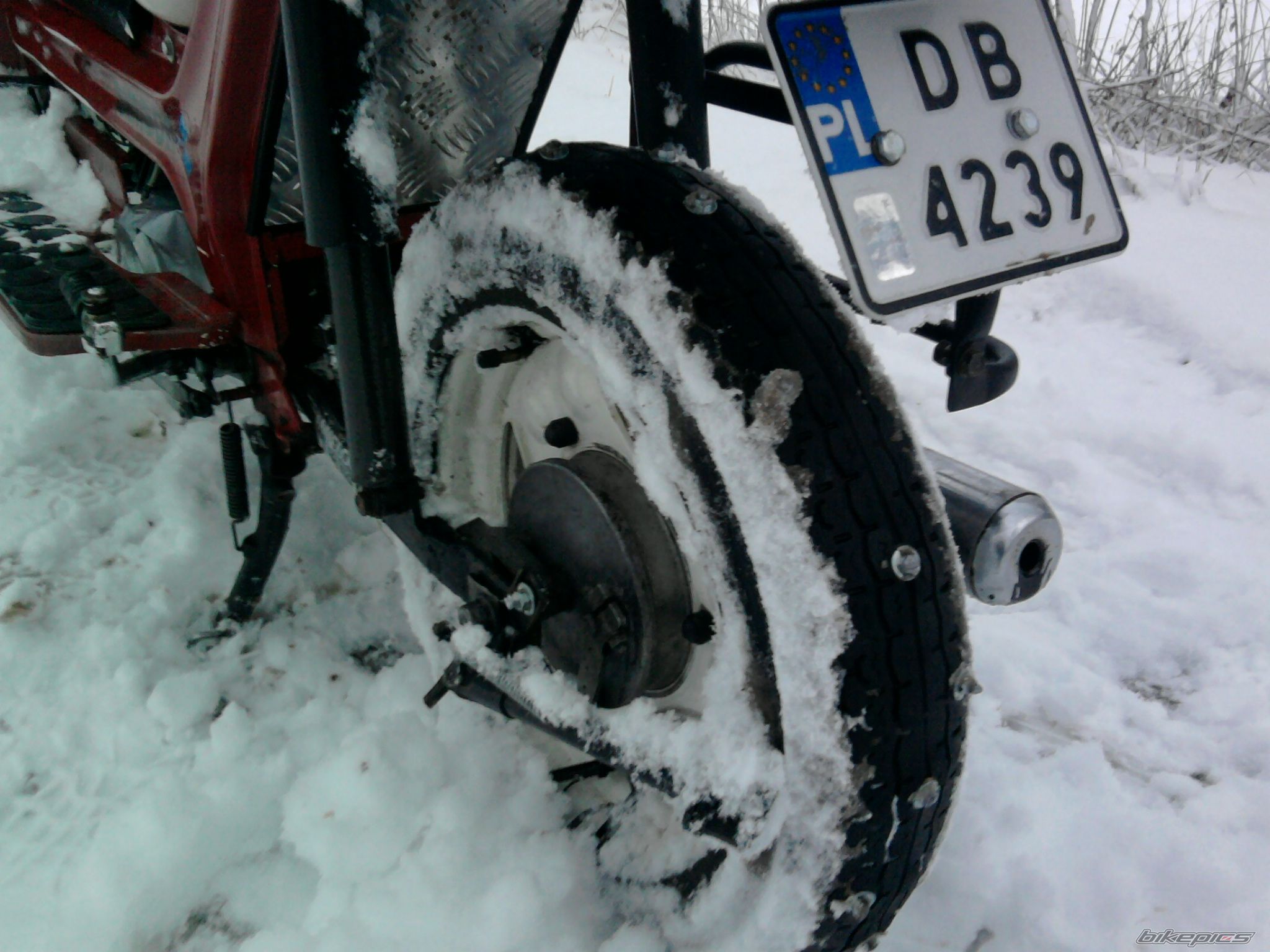 Photo 2336286