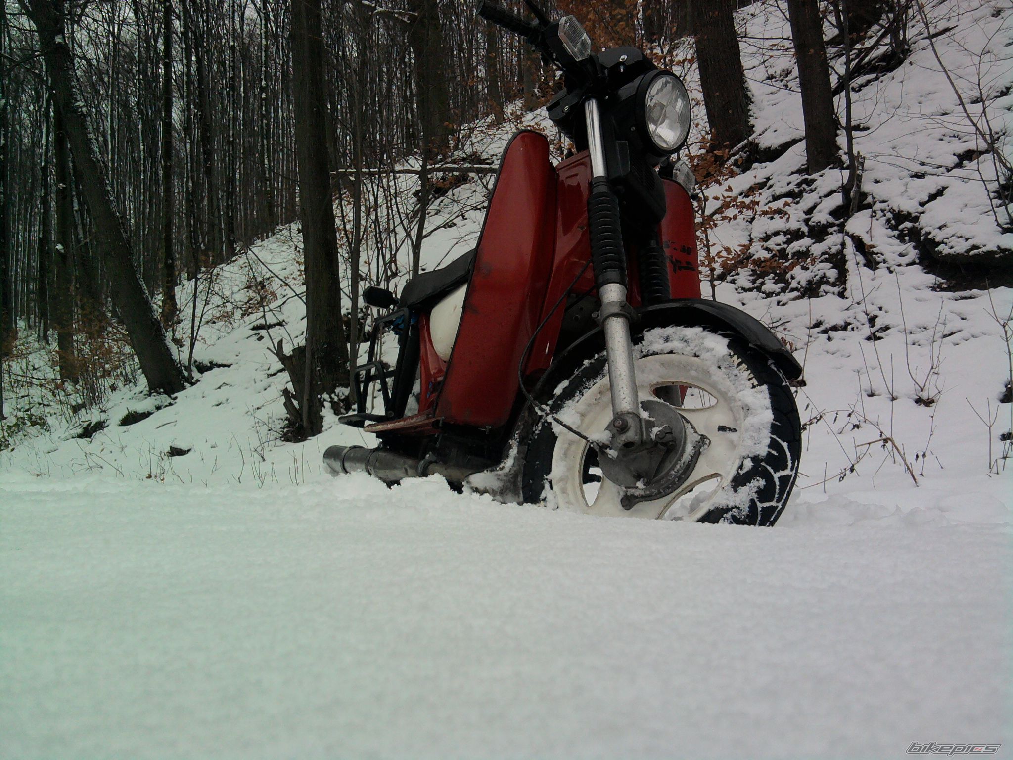 Photo 2336288