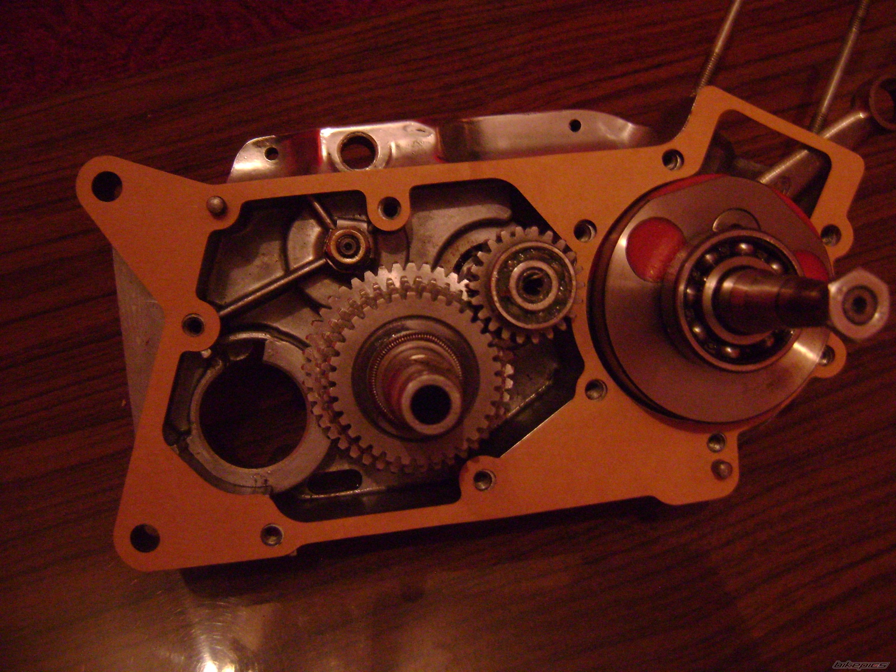 Photo 2336290