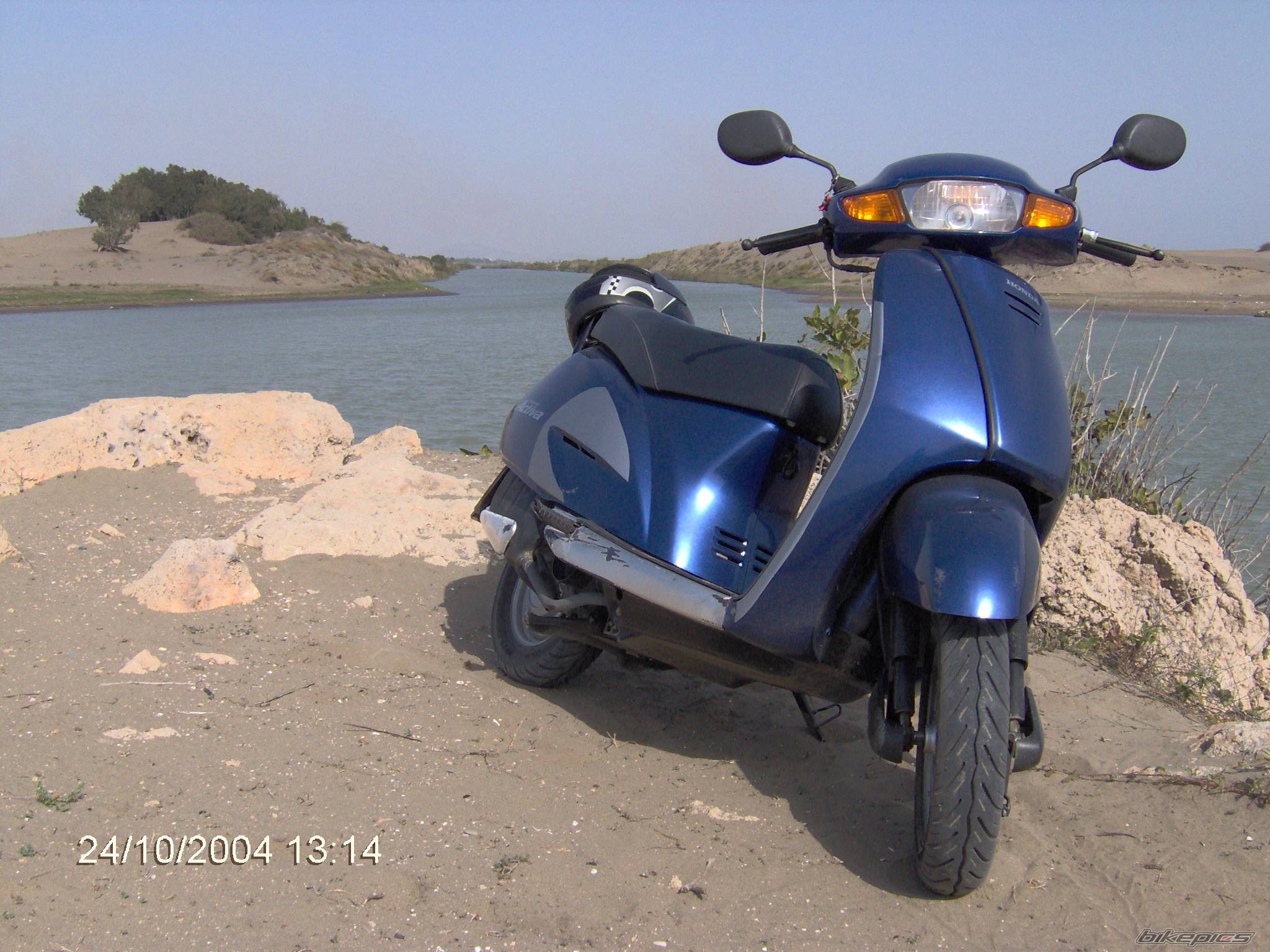 Photo 233630