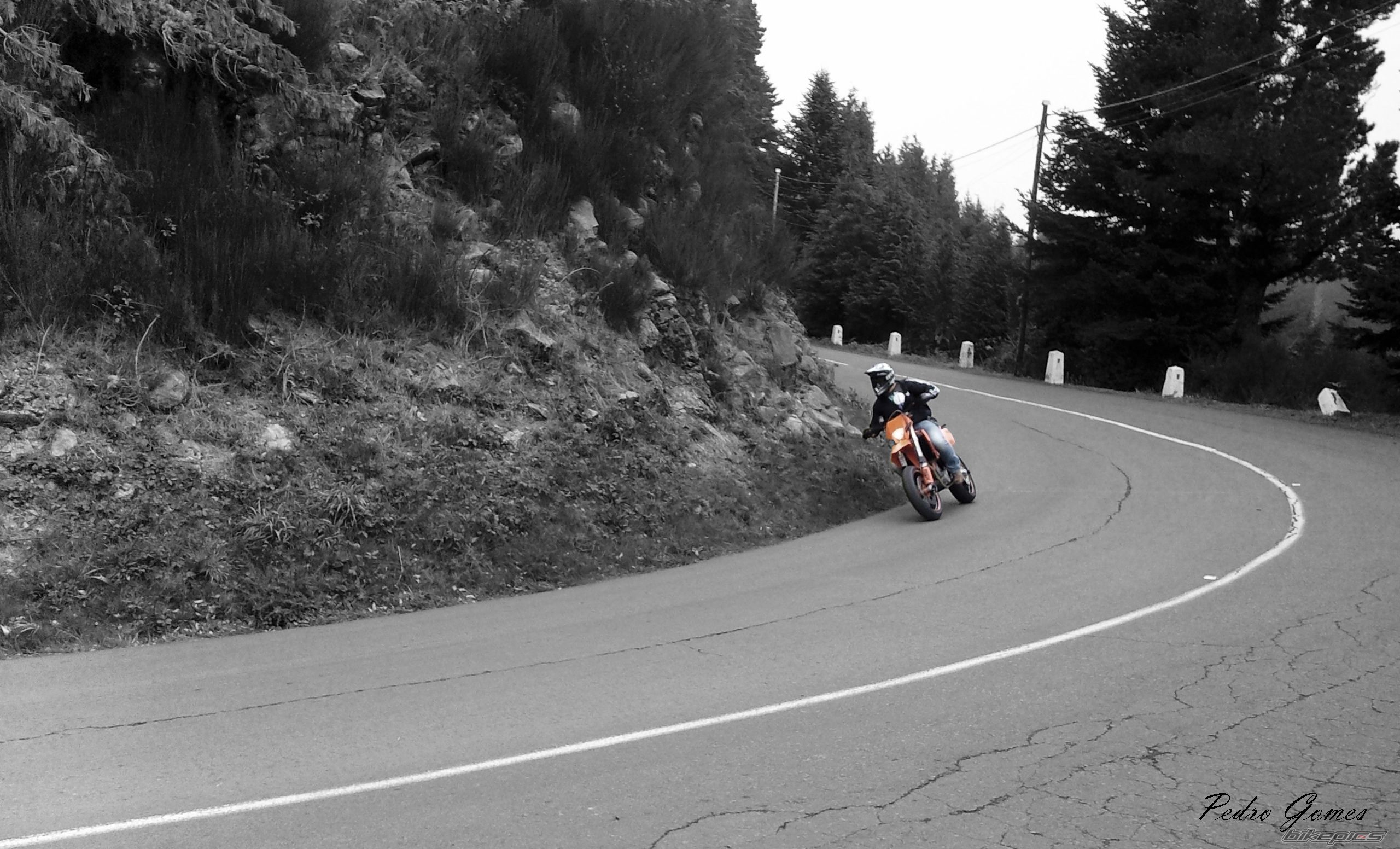 Bike Photo 2336309