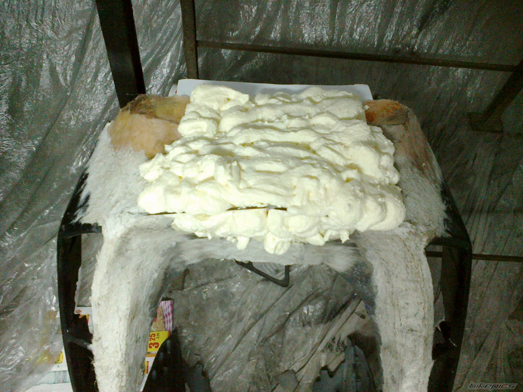 Photo 2336311