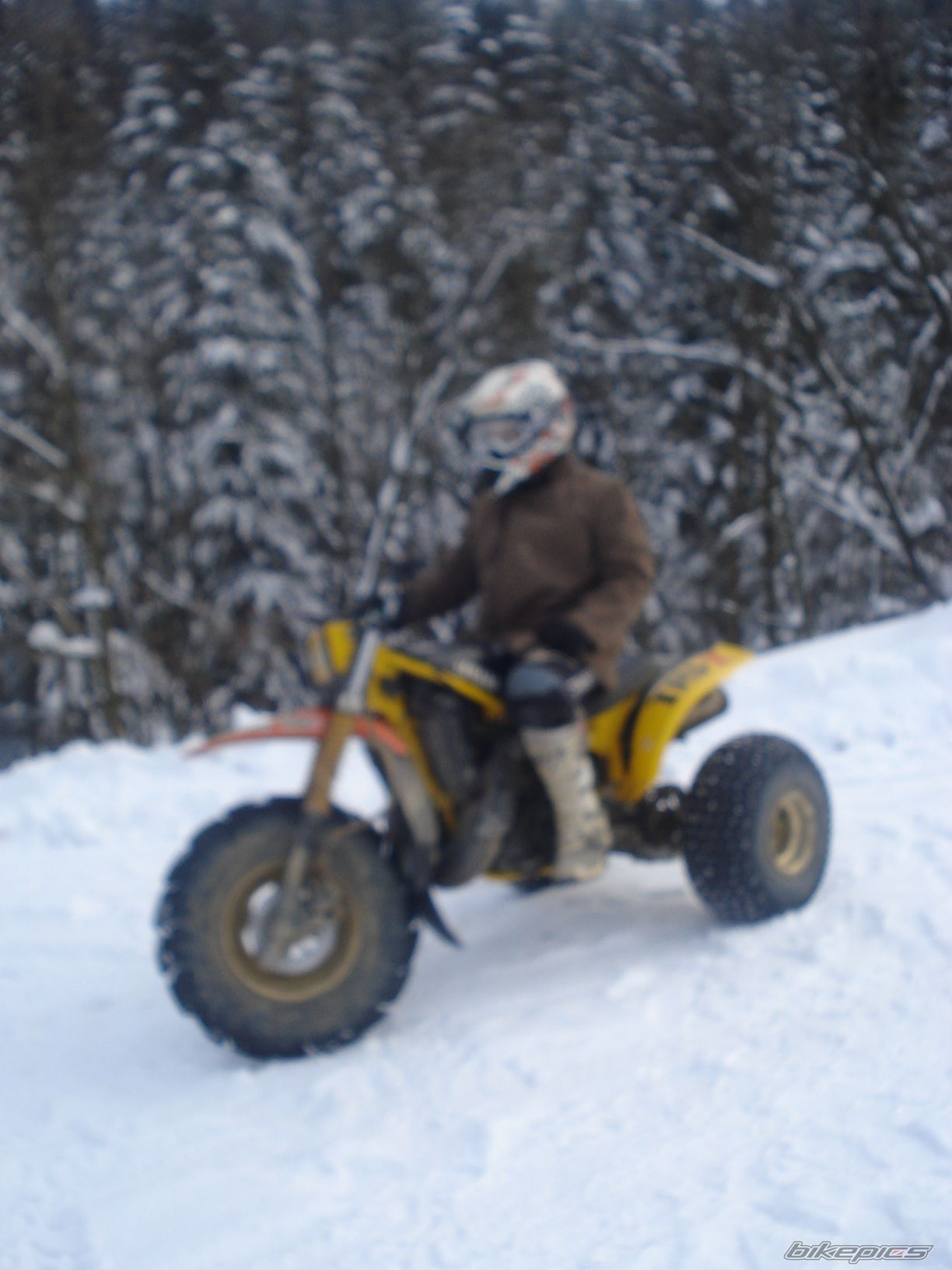 Photo 2336323