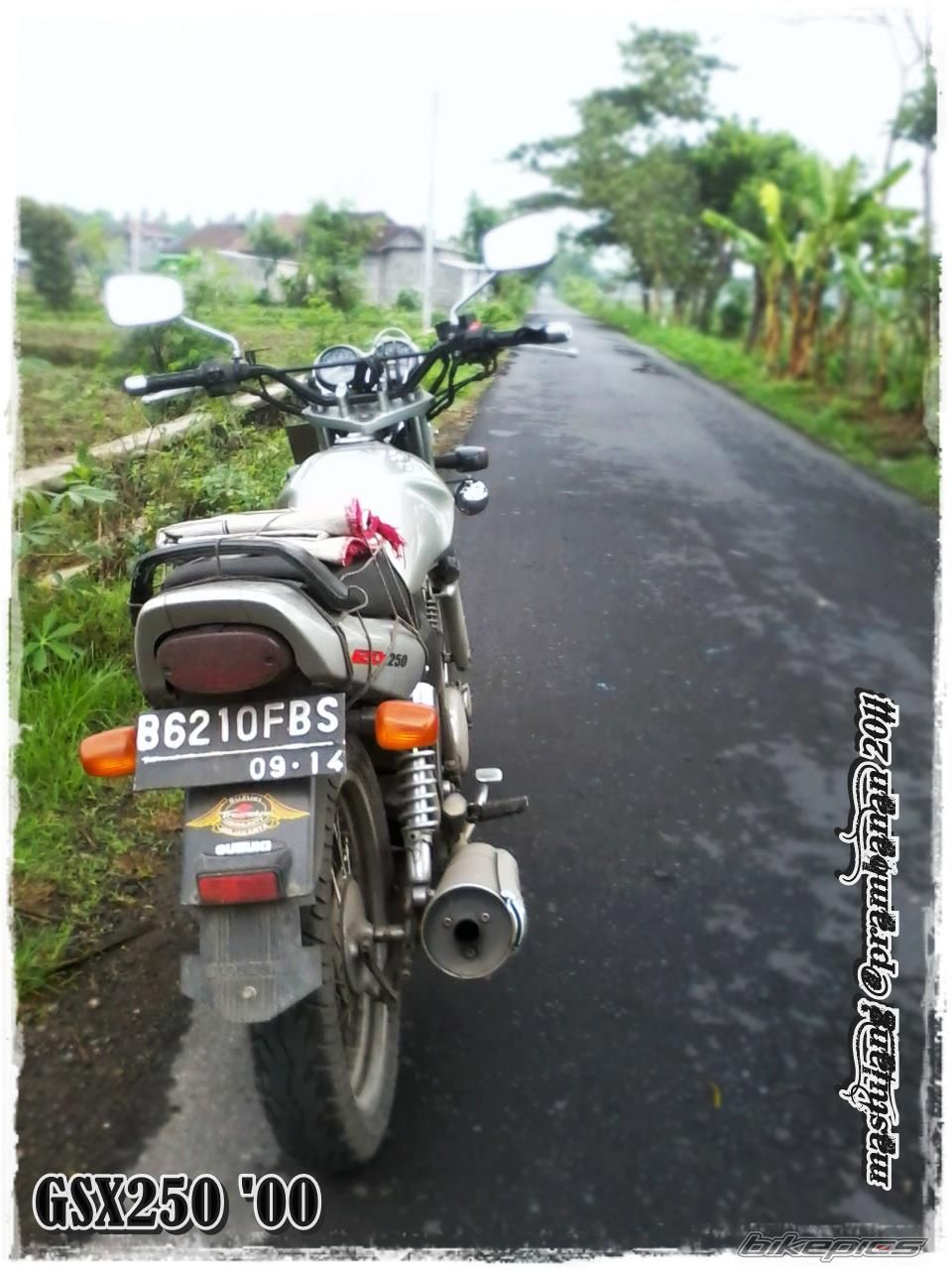 Photo 2336473