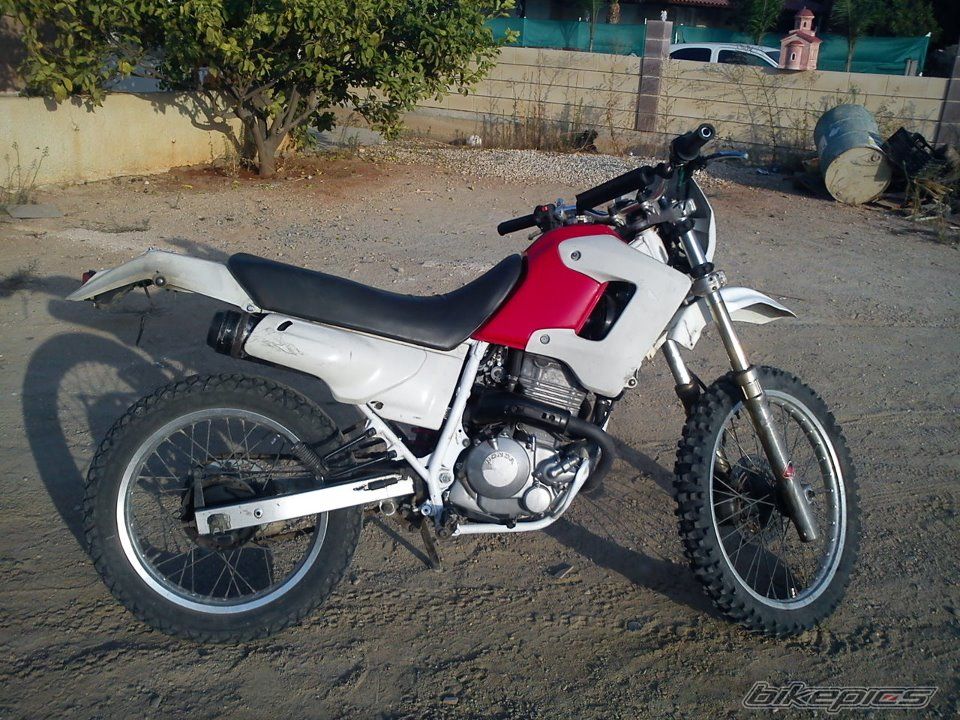 Photo 2336496