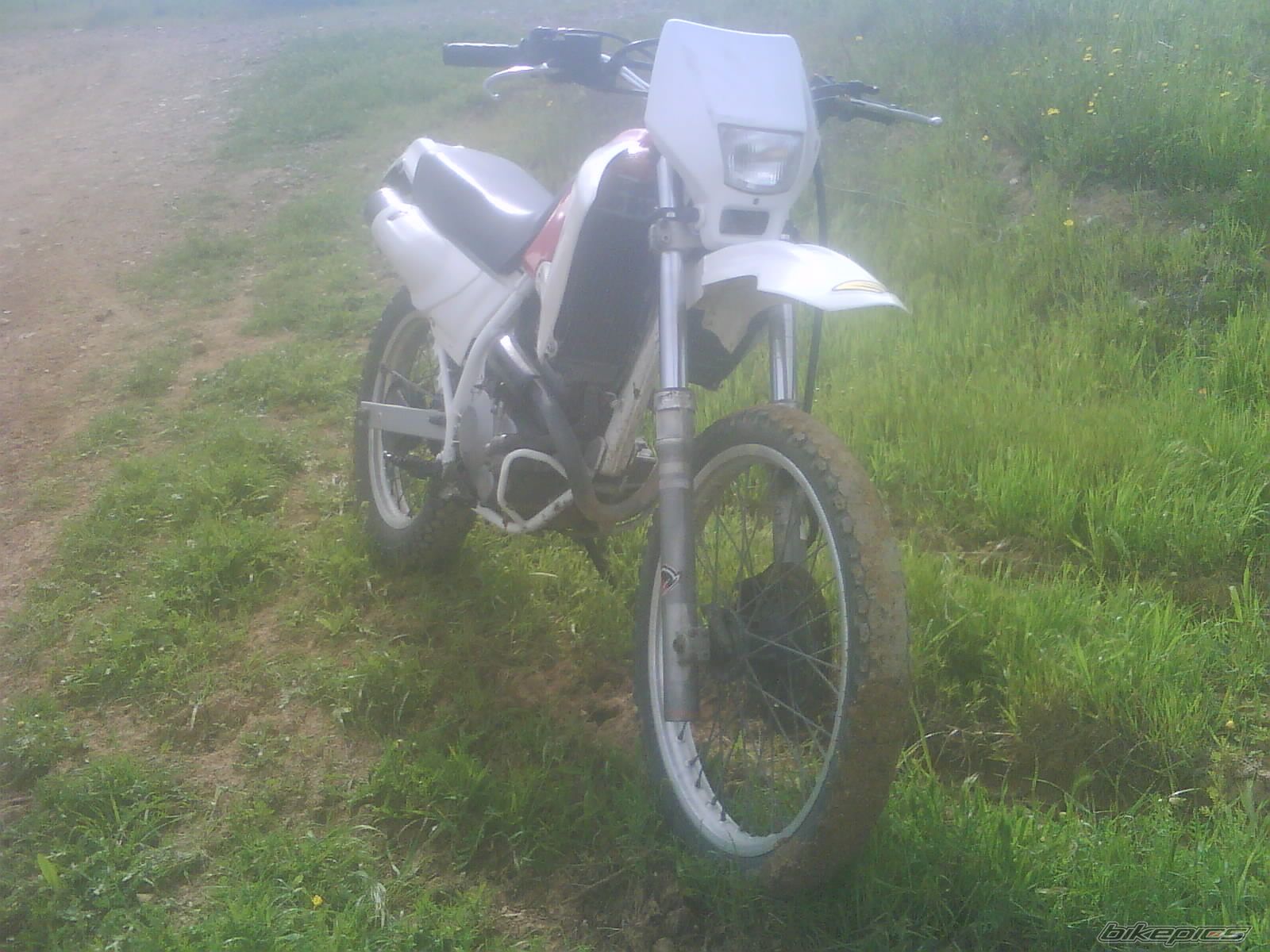 Photo 2336497