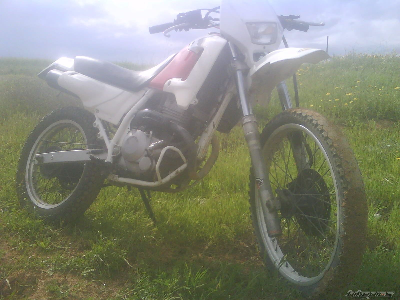 Photo 2336499