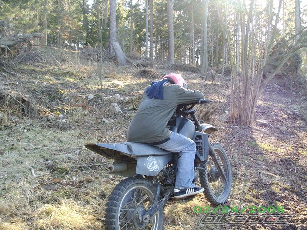 Photo 2336507