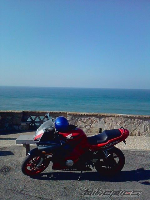 Photo 2336618