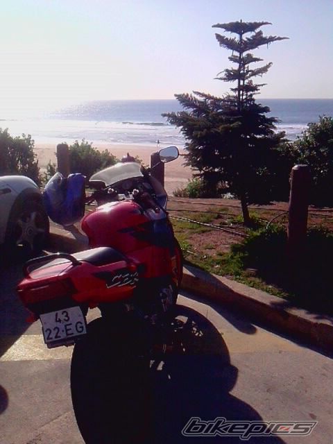 Photo 2336619