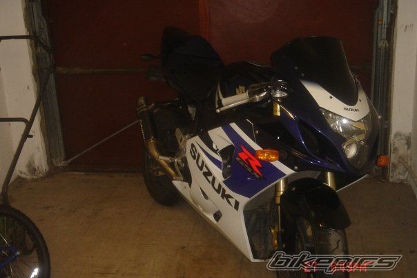 Photo 2336659