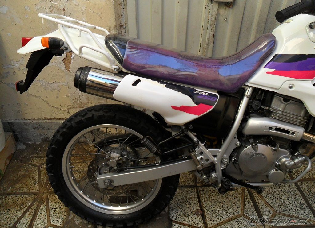Photo 2336748