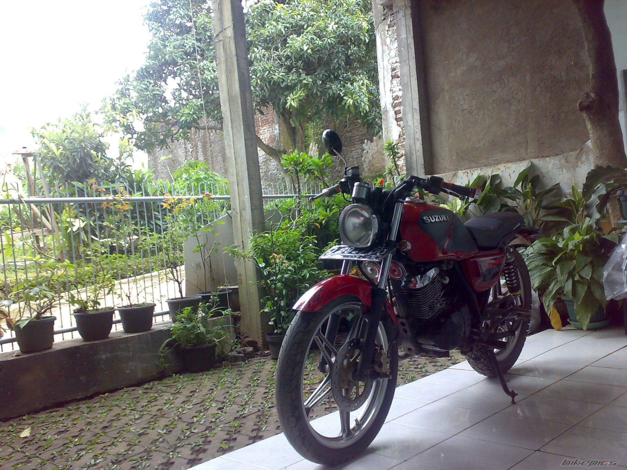 Photo 2336784