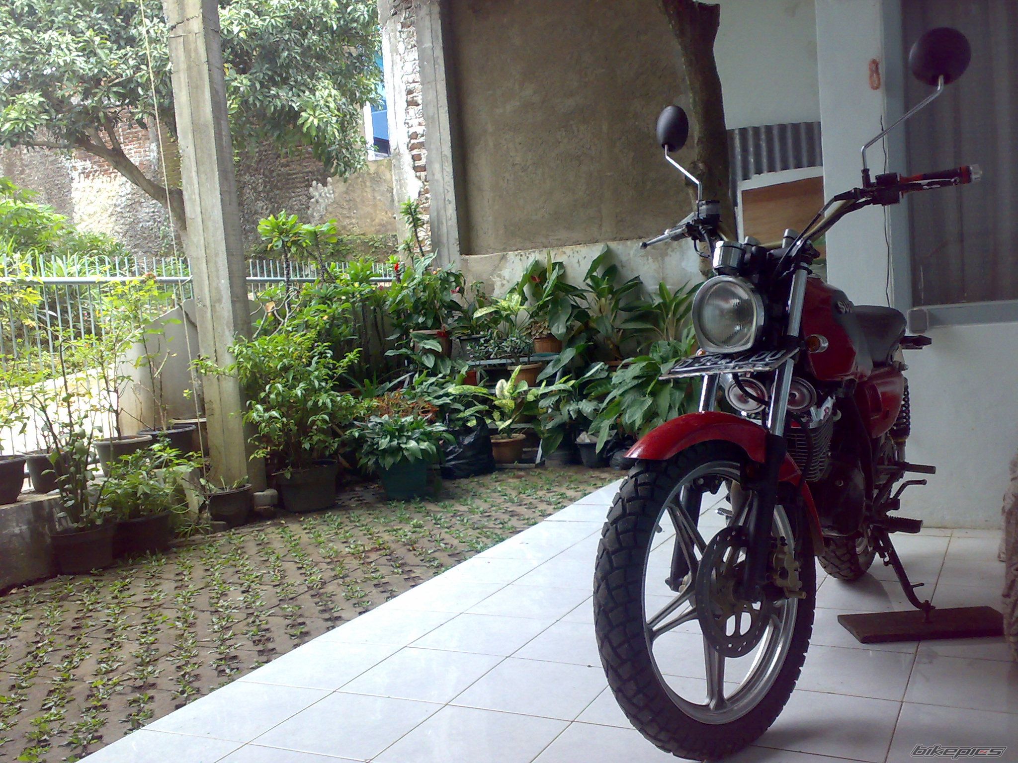 Photo 2336793
