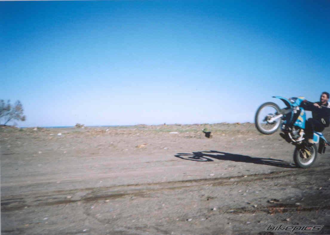 Photo 23368