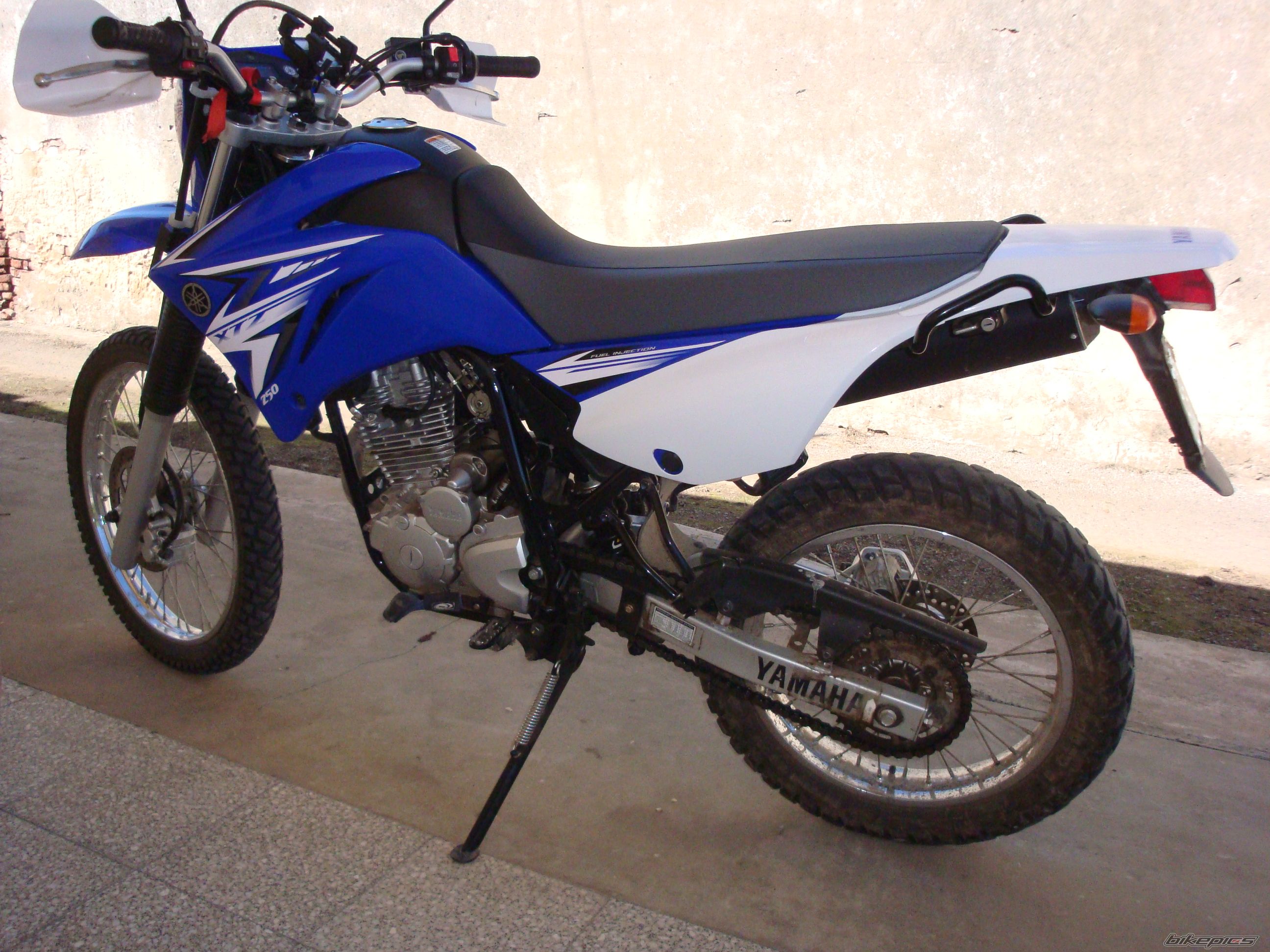 Photo 2336820