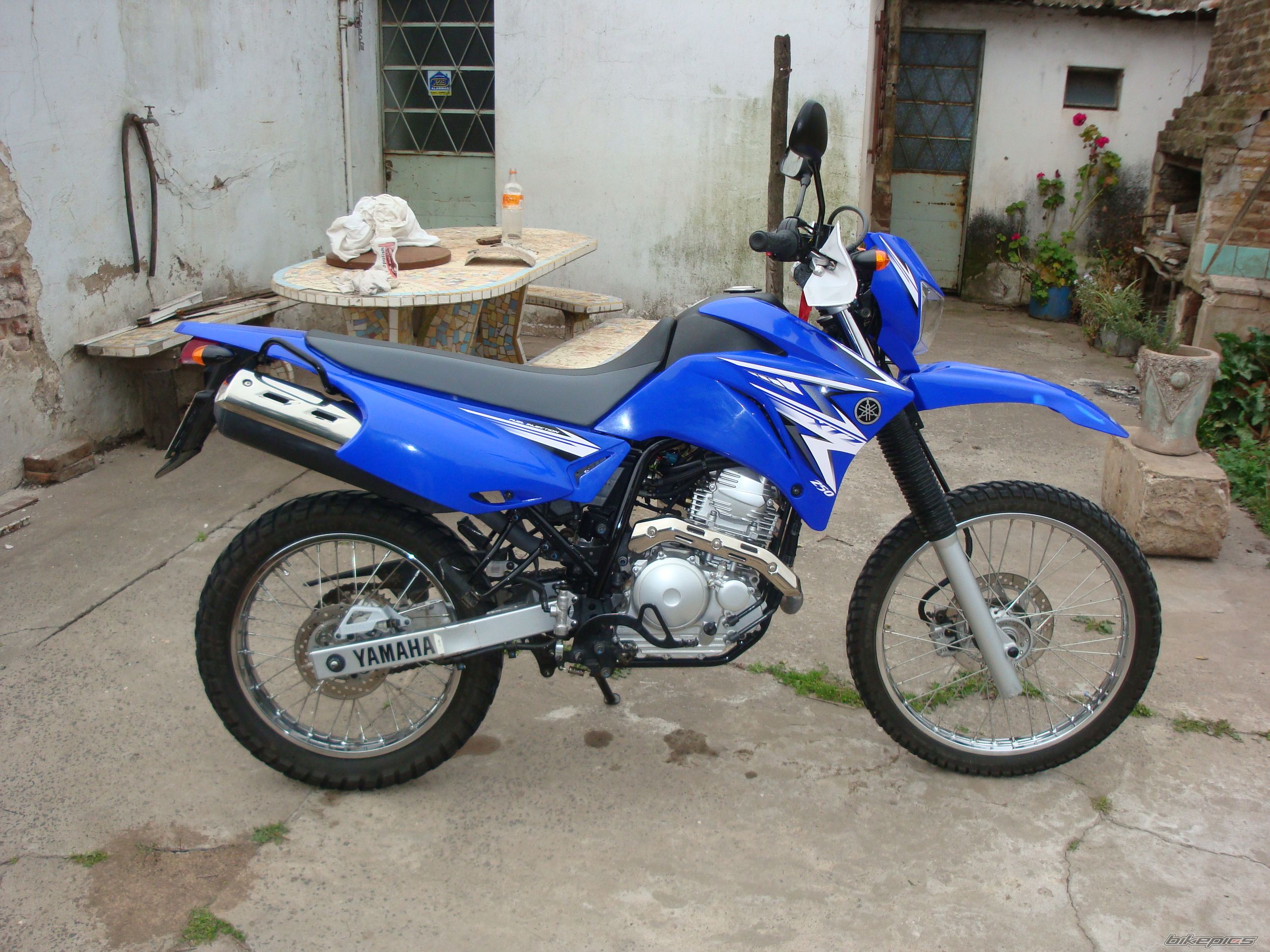 Photo 2336823