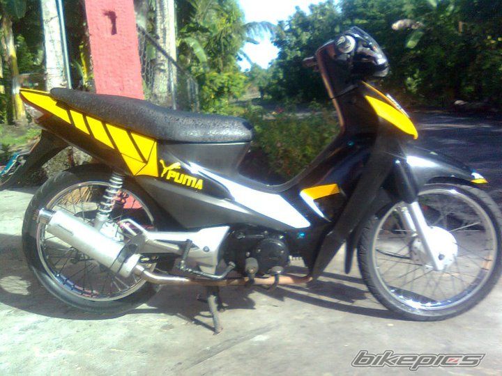 Photo 2336919