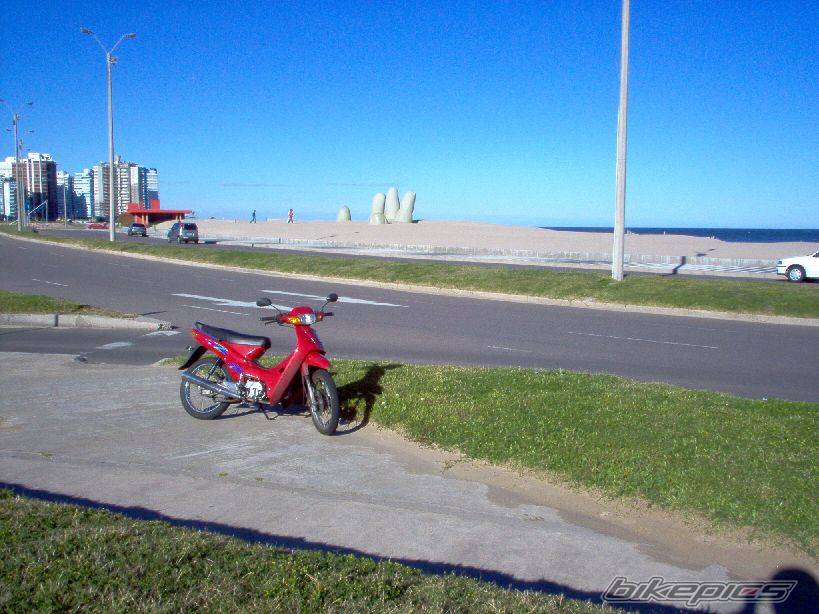 Photo 233699