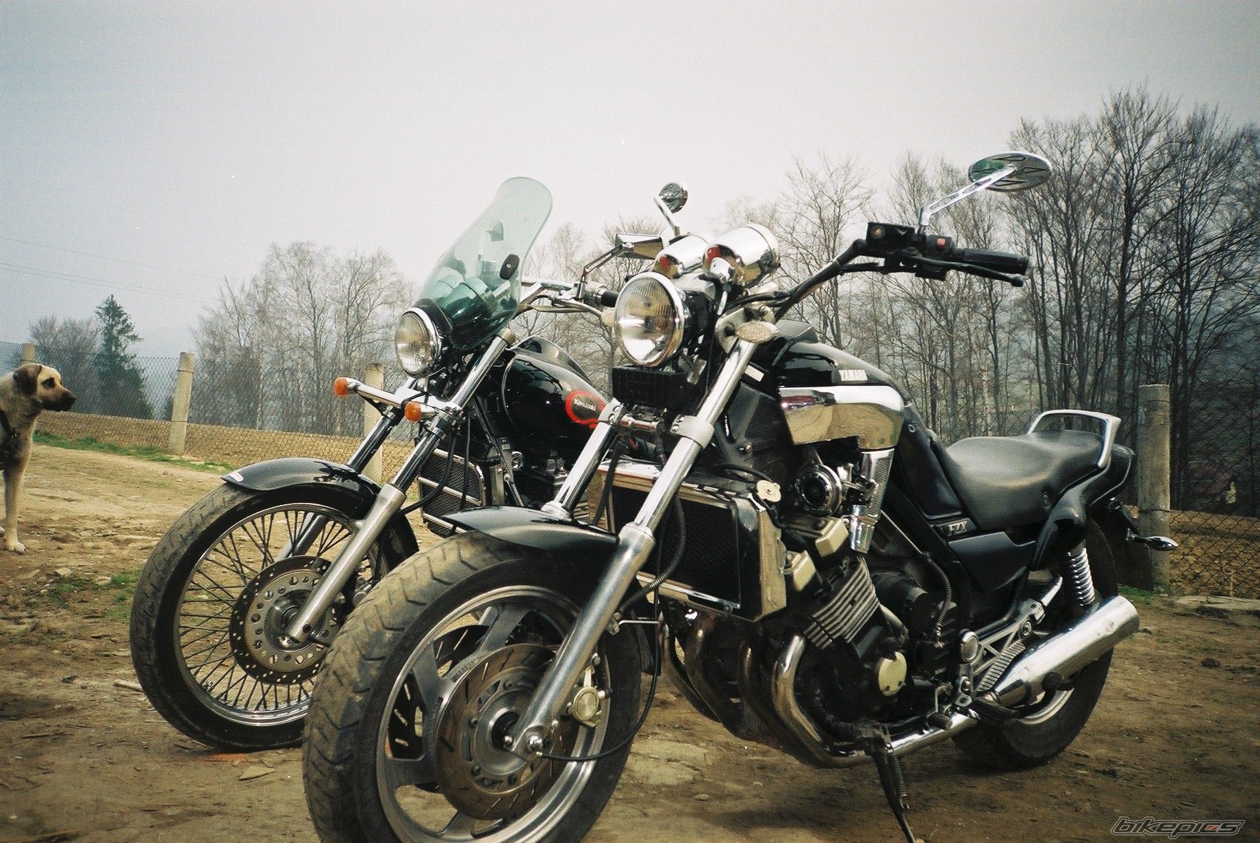 Photo 2337007