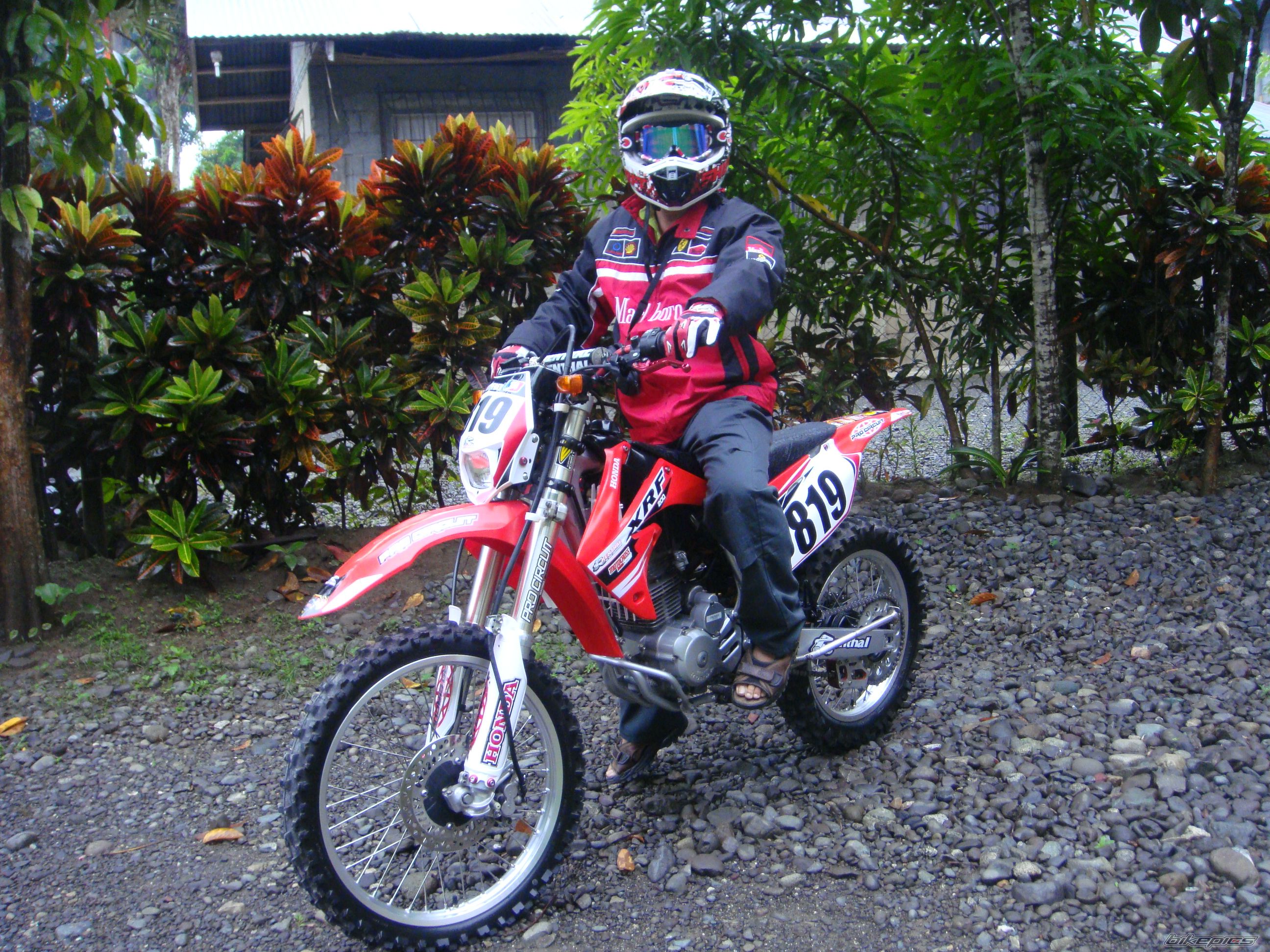 Photo 2337031