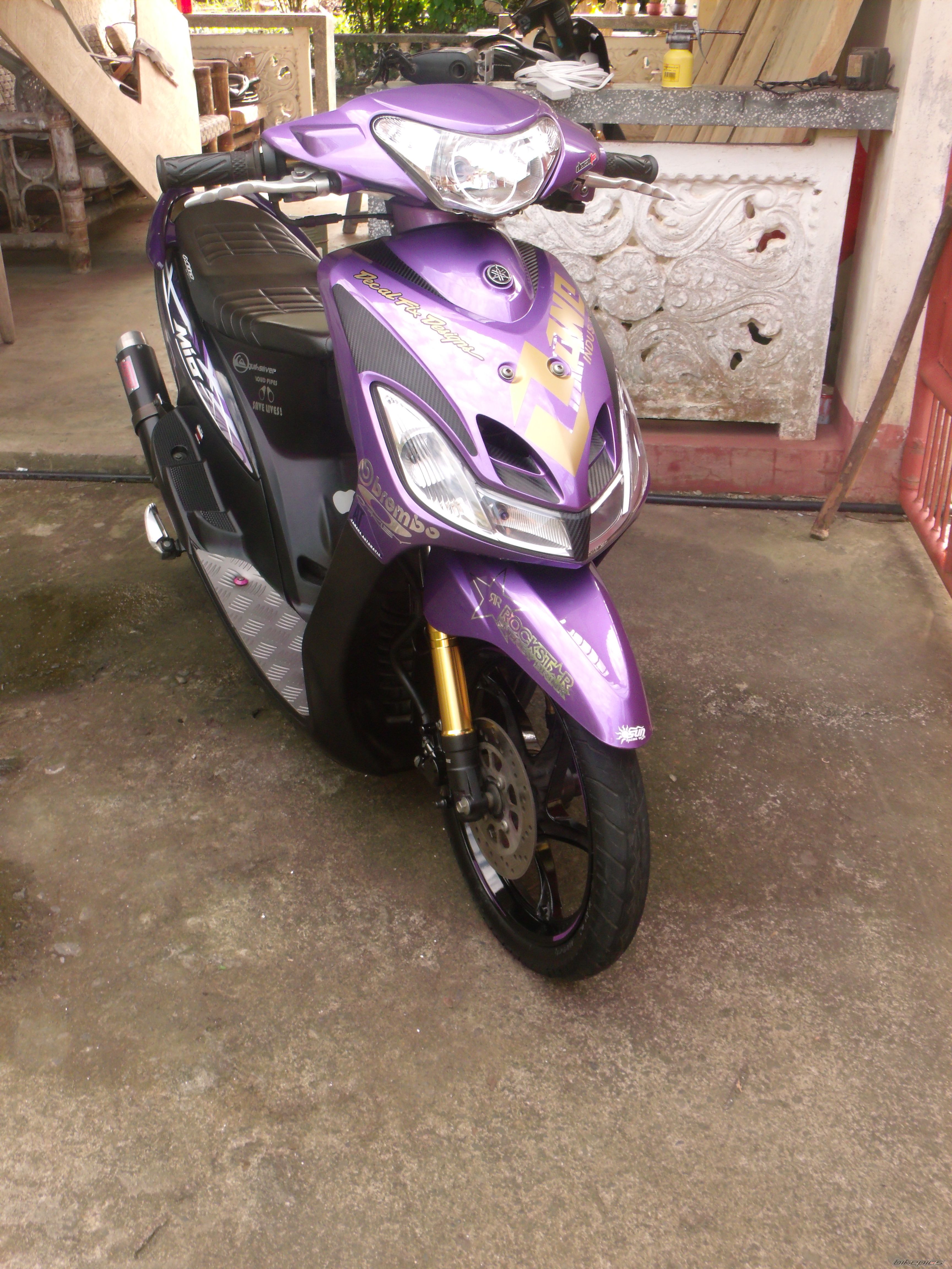 Photo 2337076