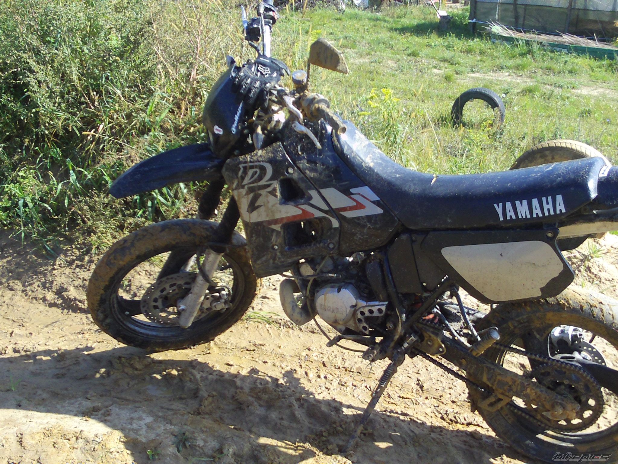 Photo 2337194