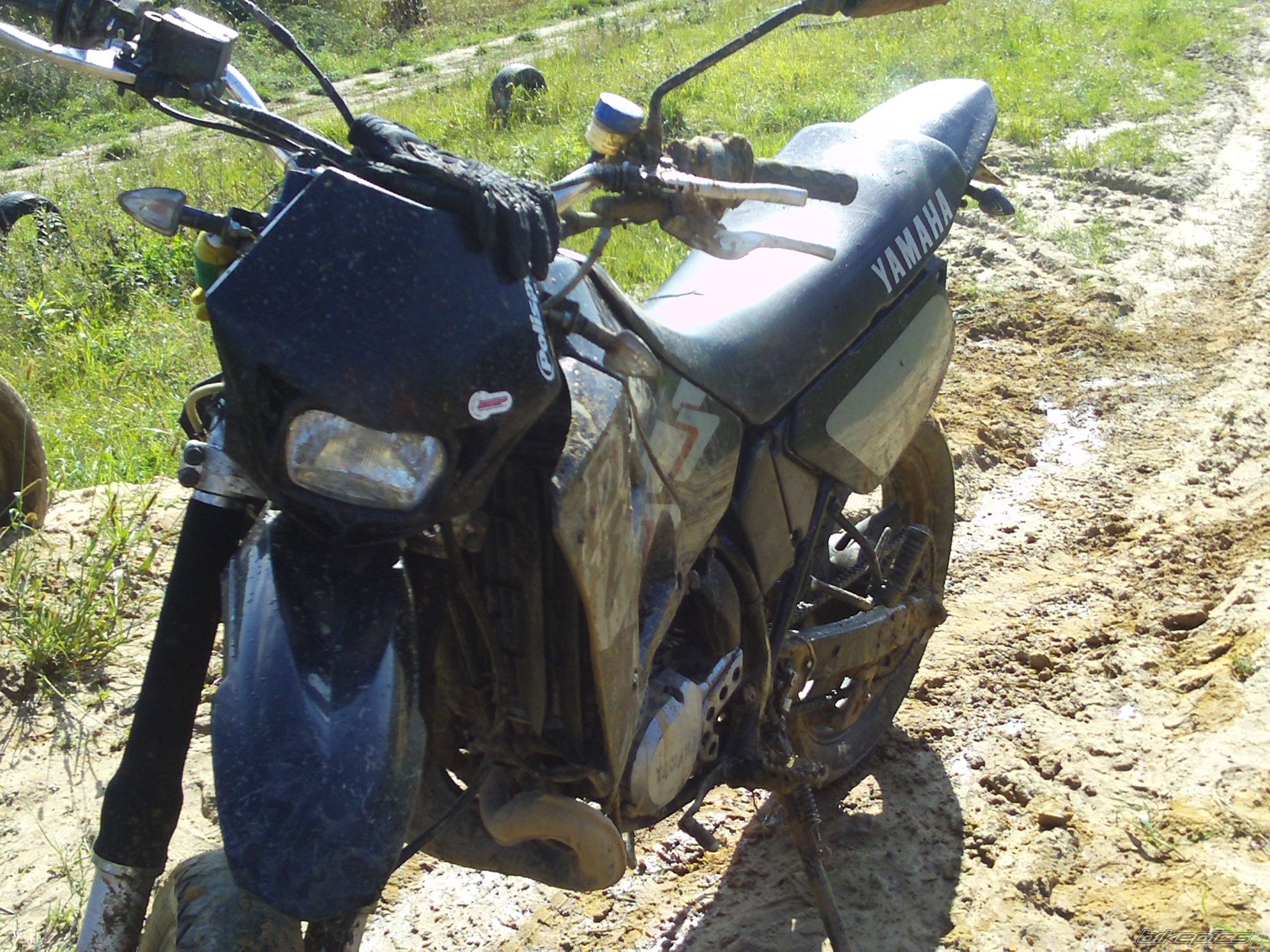 Photo 2337197
