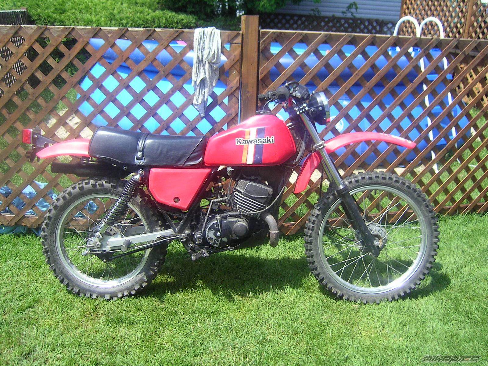 Photo 233720
