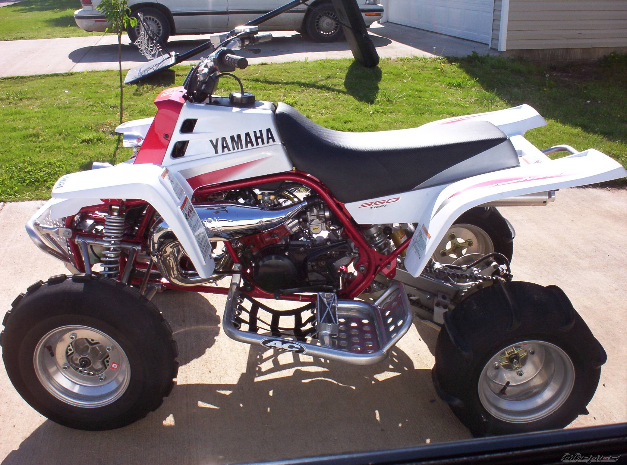 Photo 233722