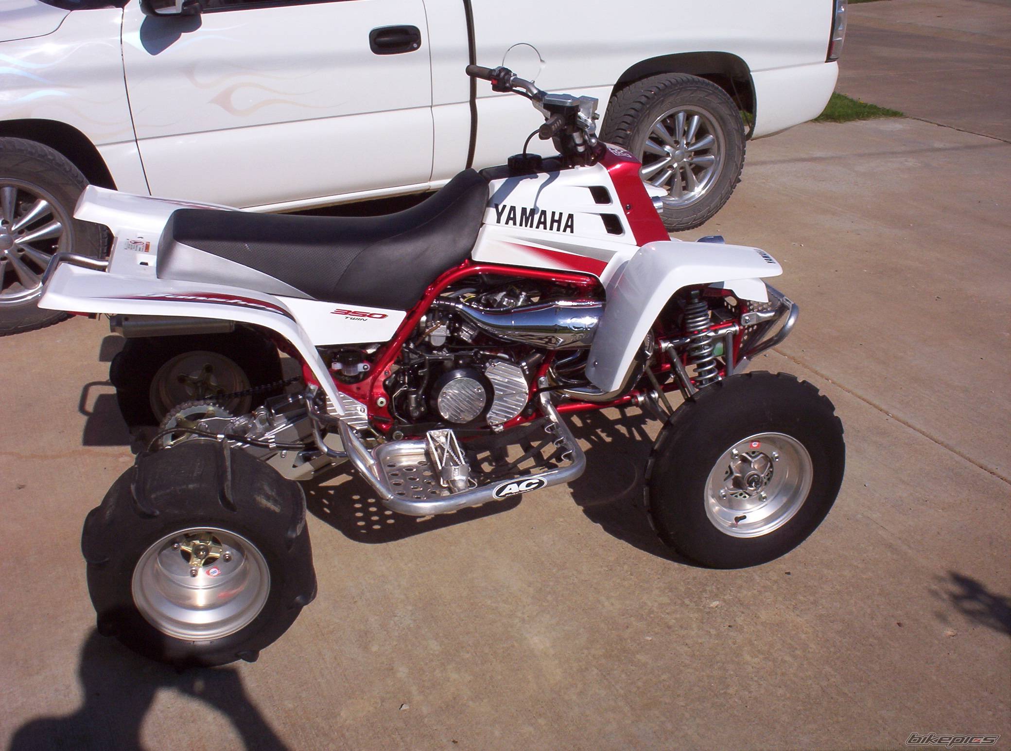 Photo 233723
