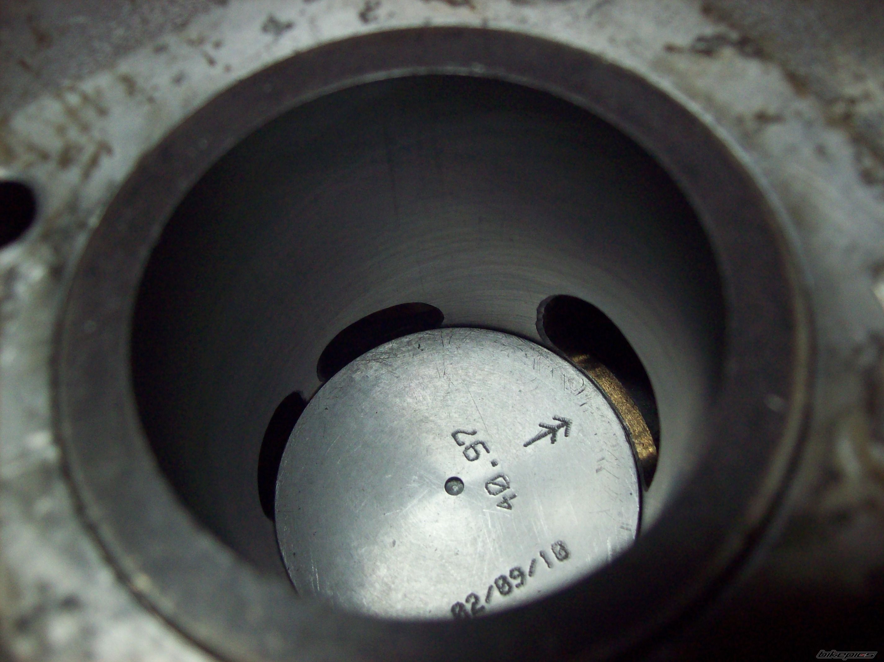 Photo 2337232