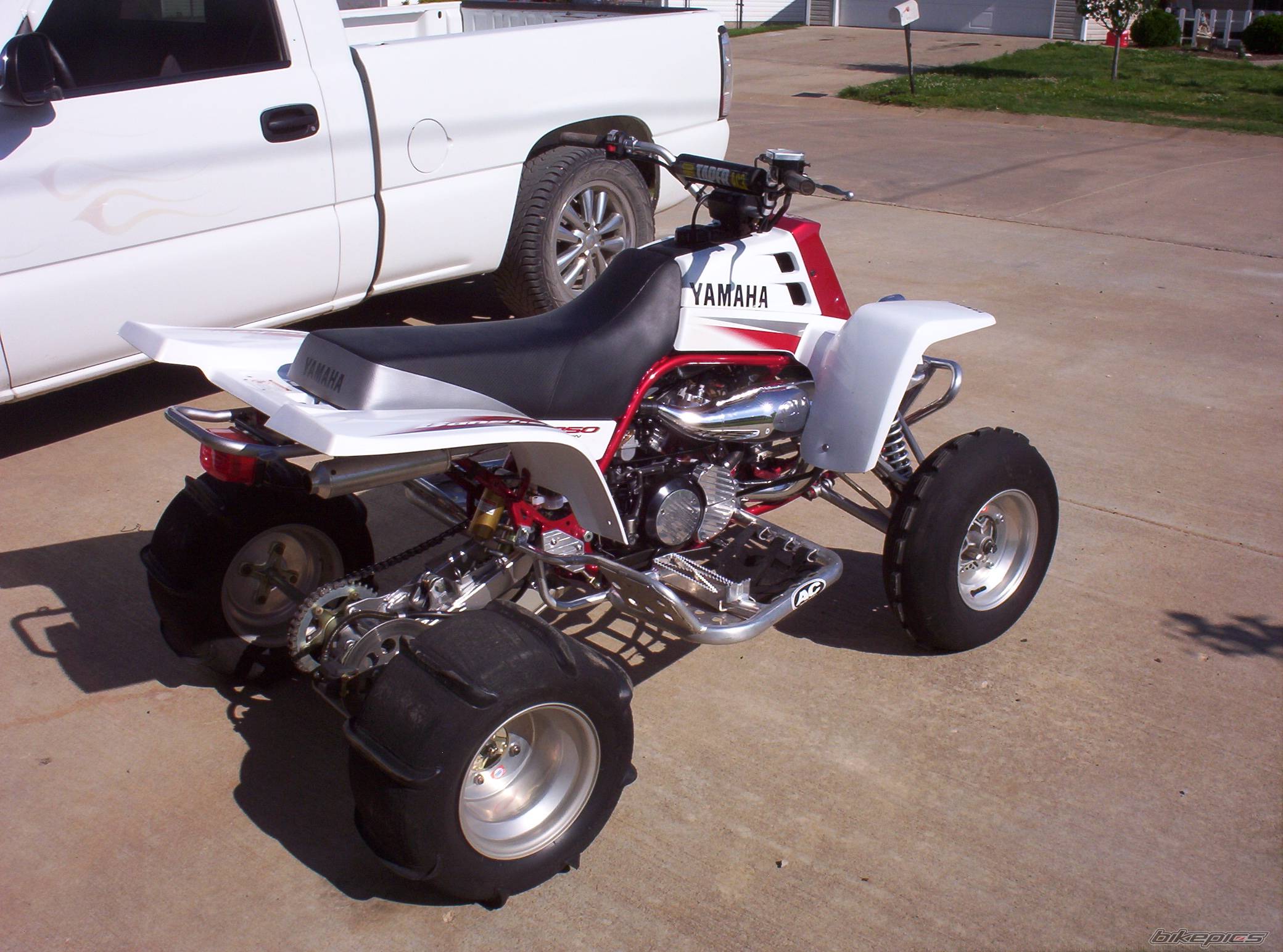 Photo 233724