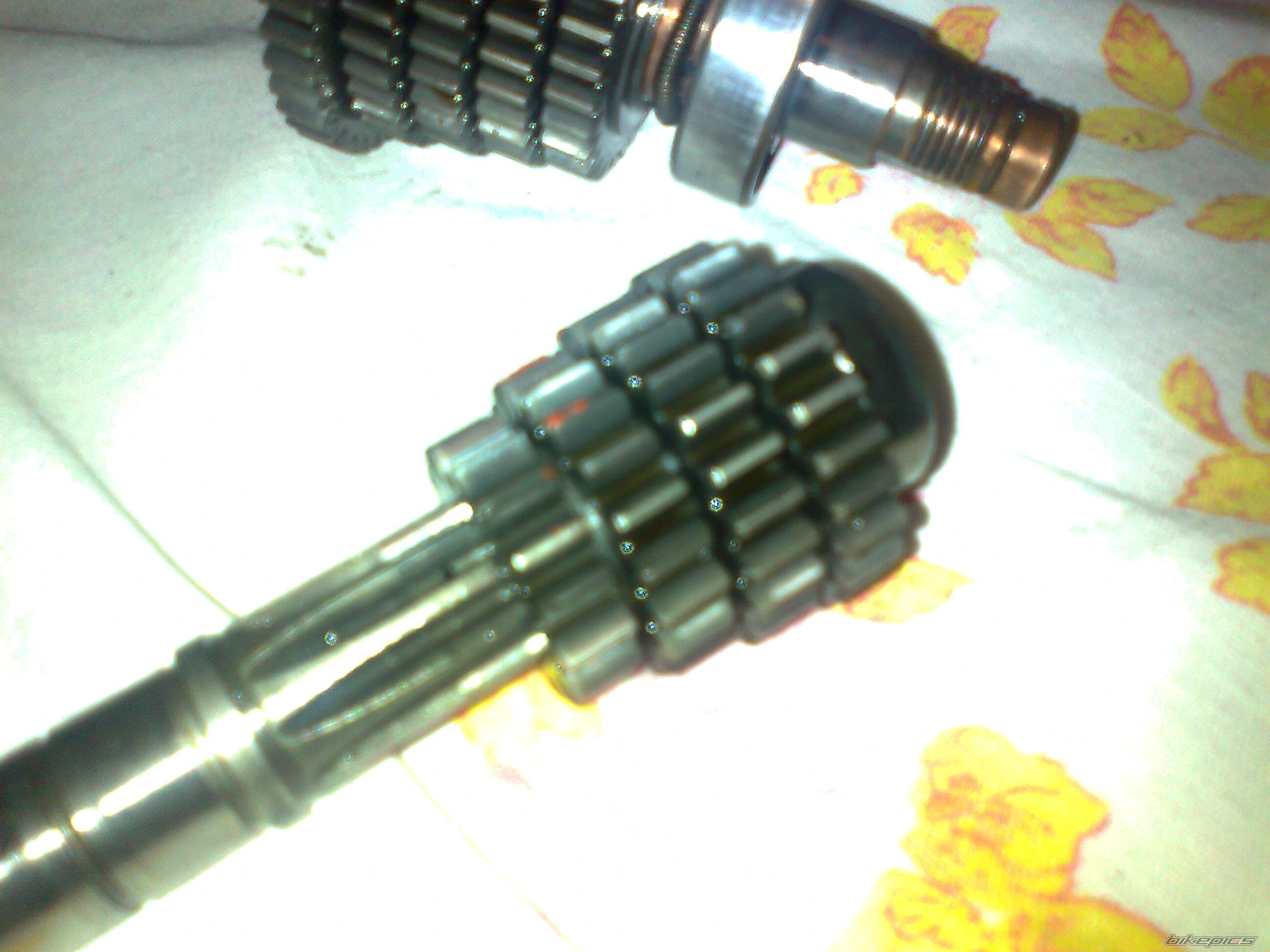 Photo 2337247