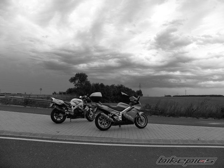 Photo 2337261