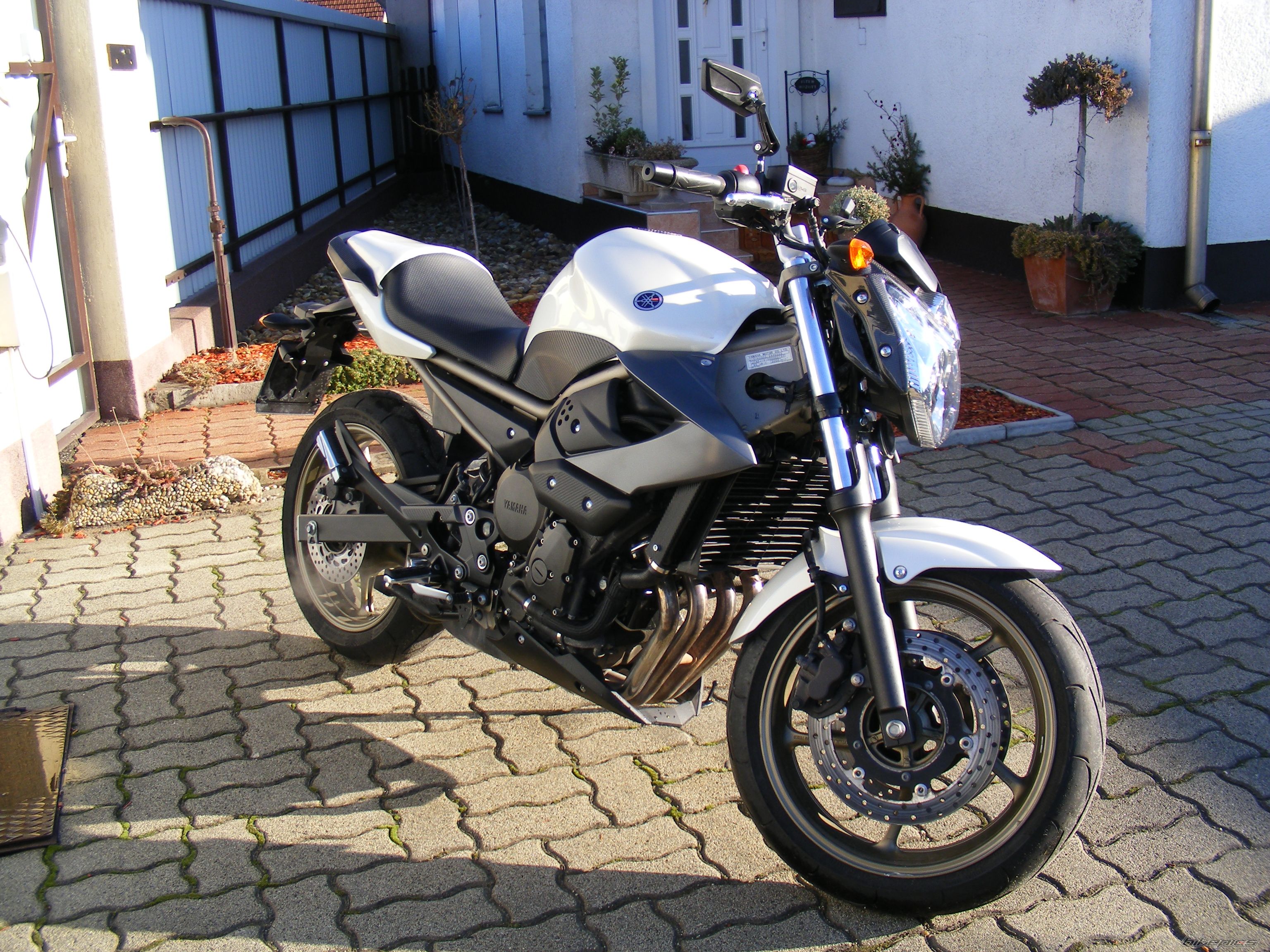 Photo 2337278