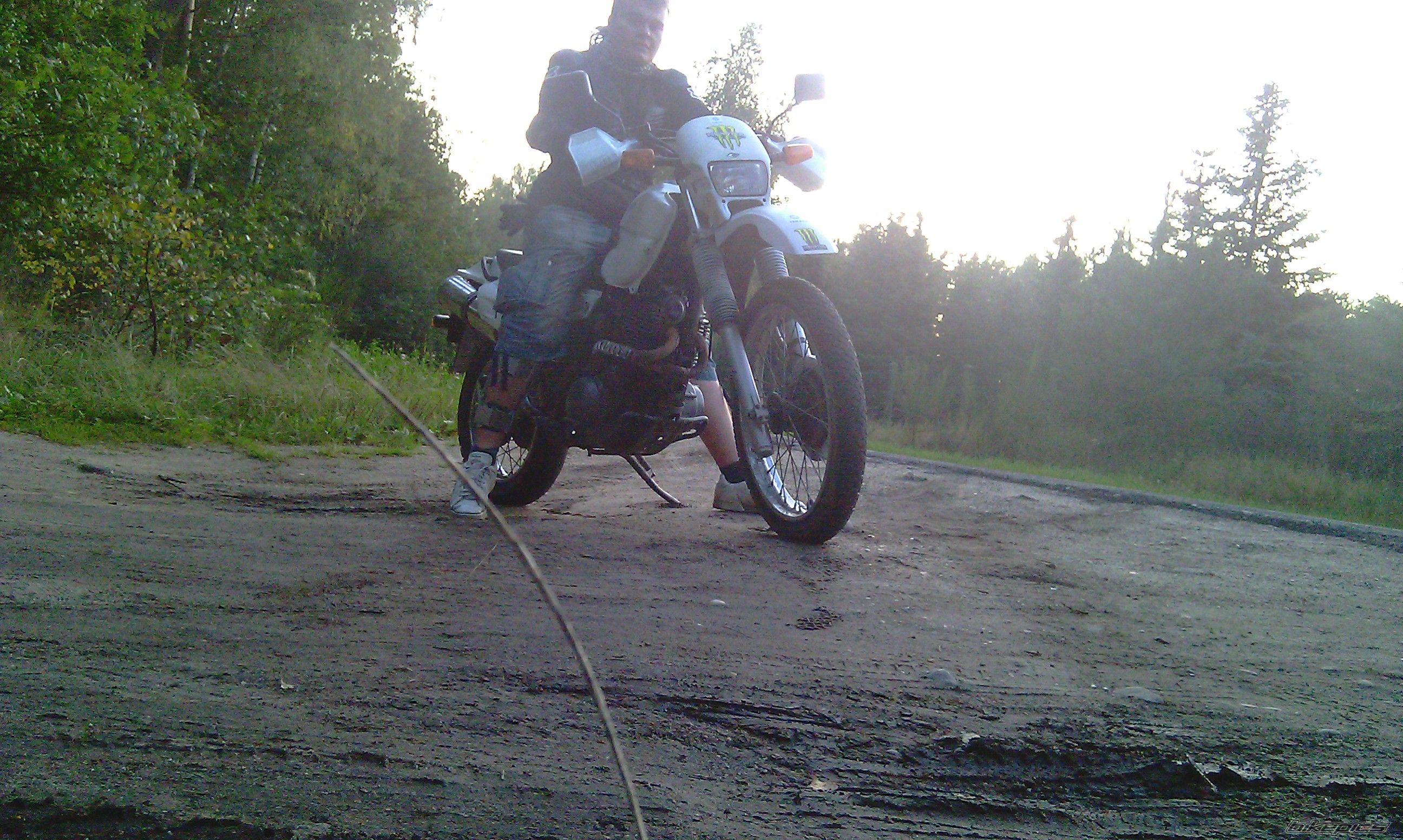Photo 2337301