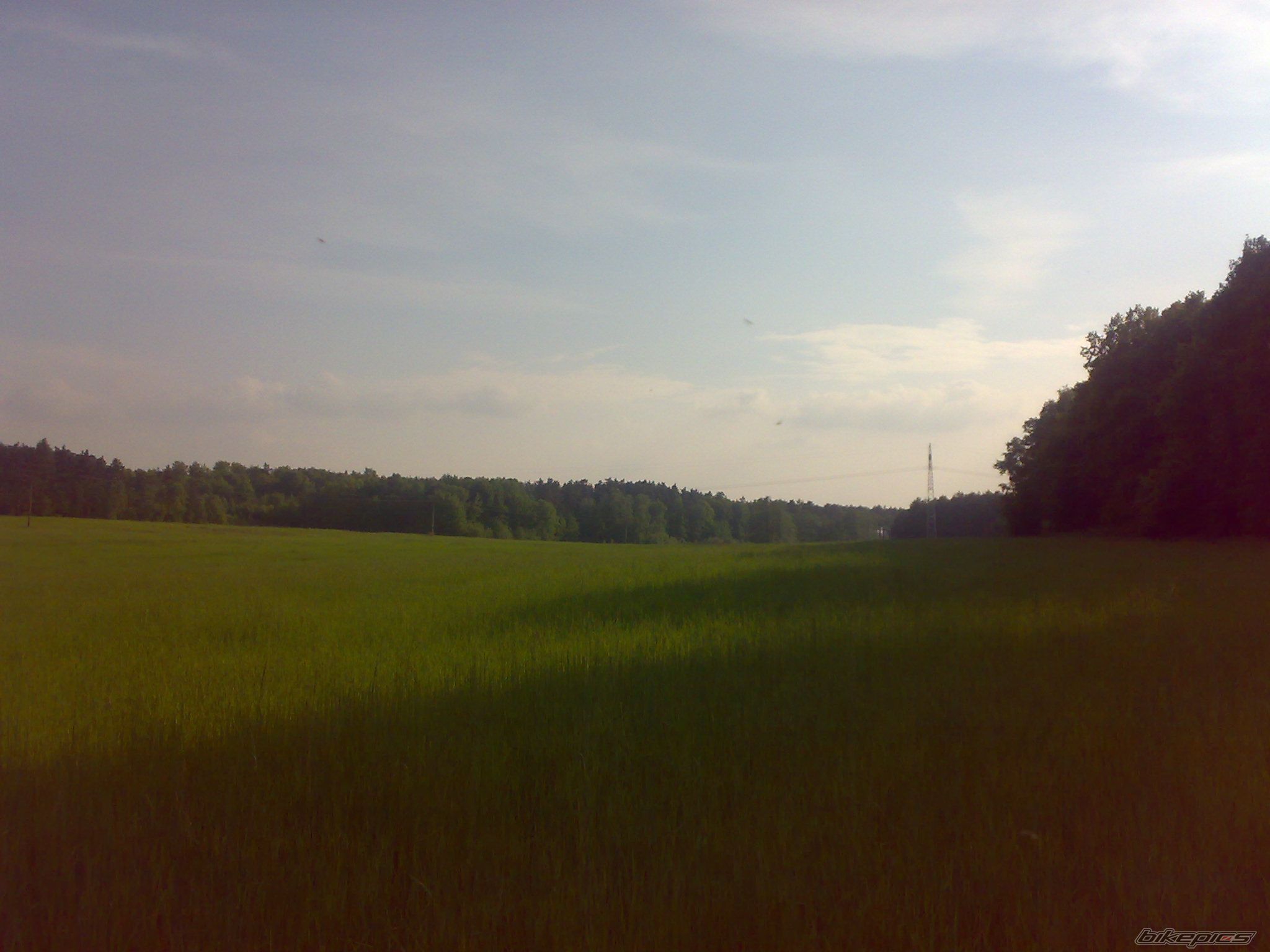 Photo 2337302