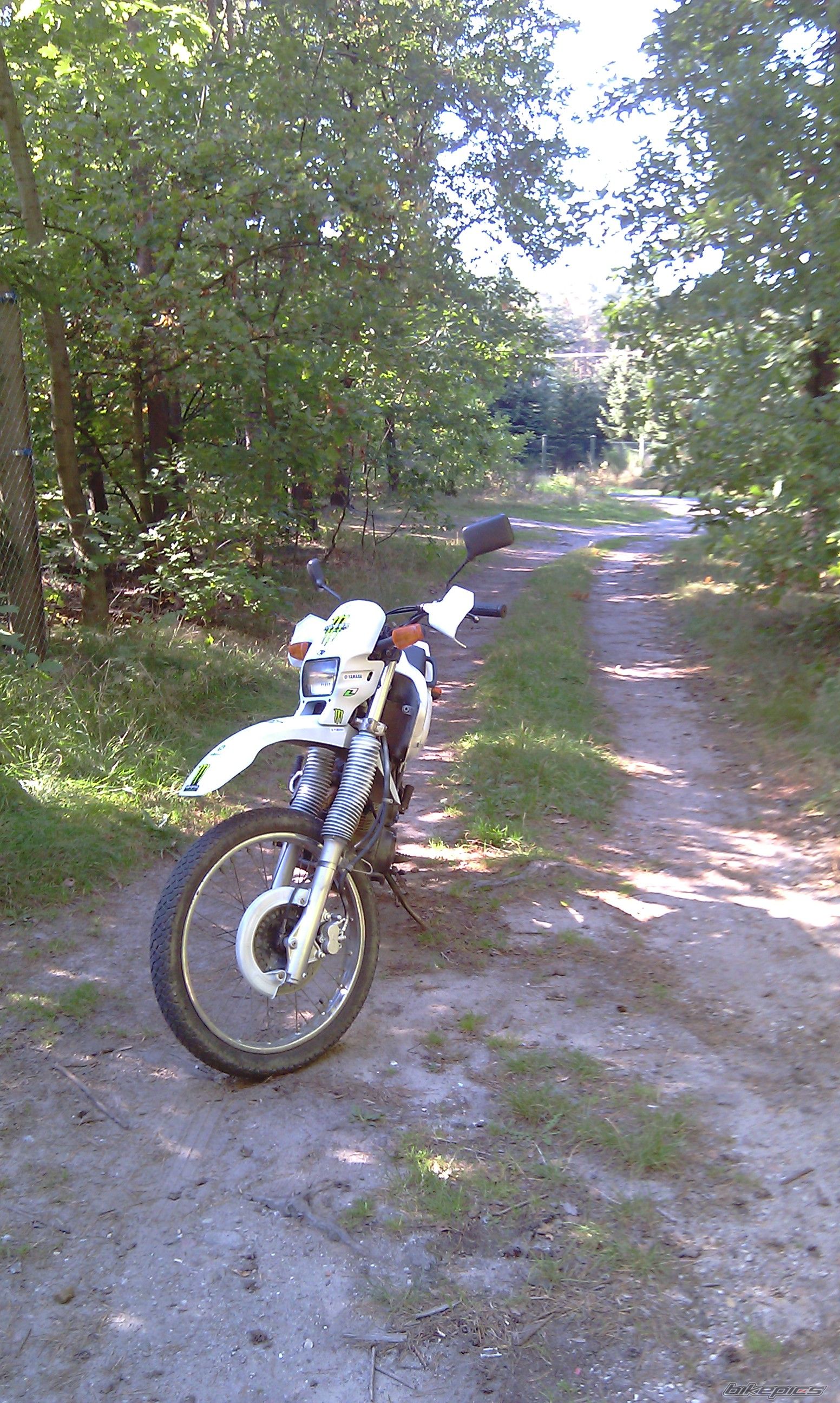 Photo 2337303