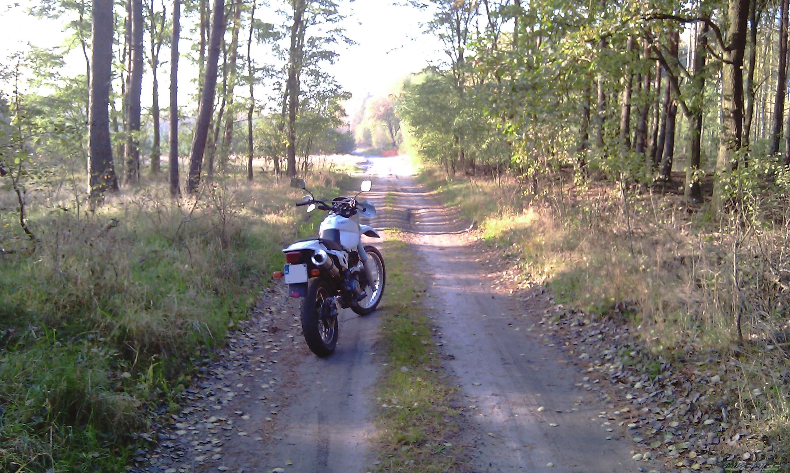 Photo 2337306