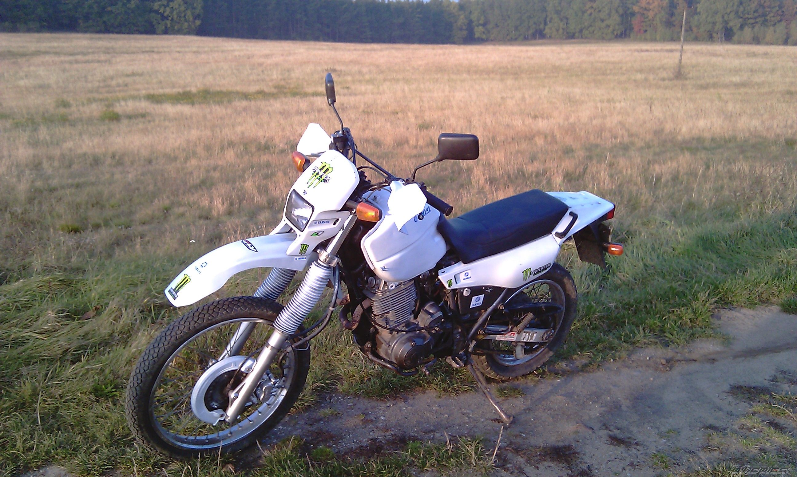 Photo 2337307