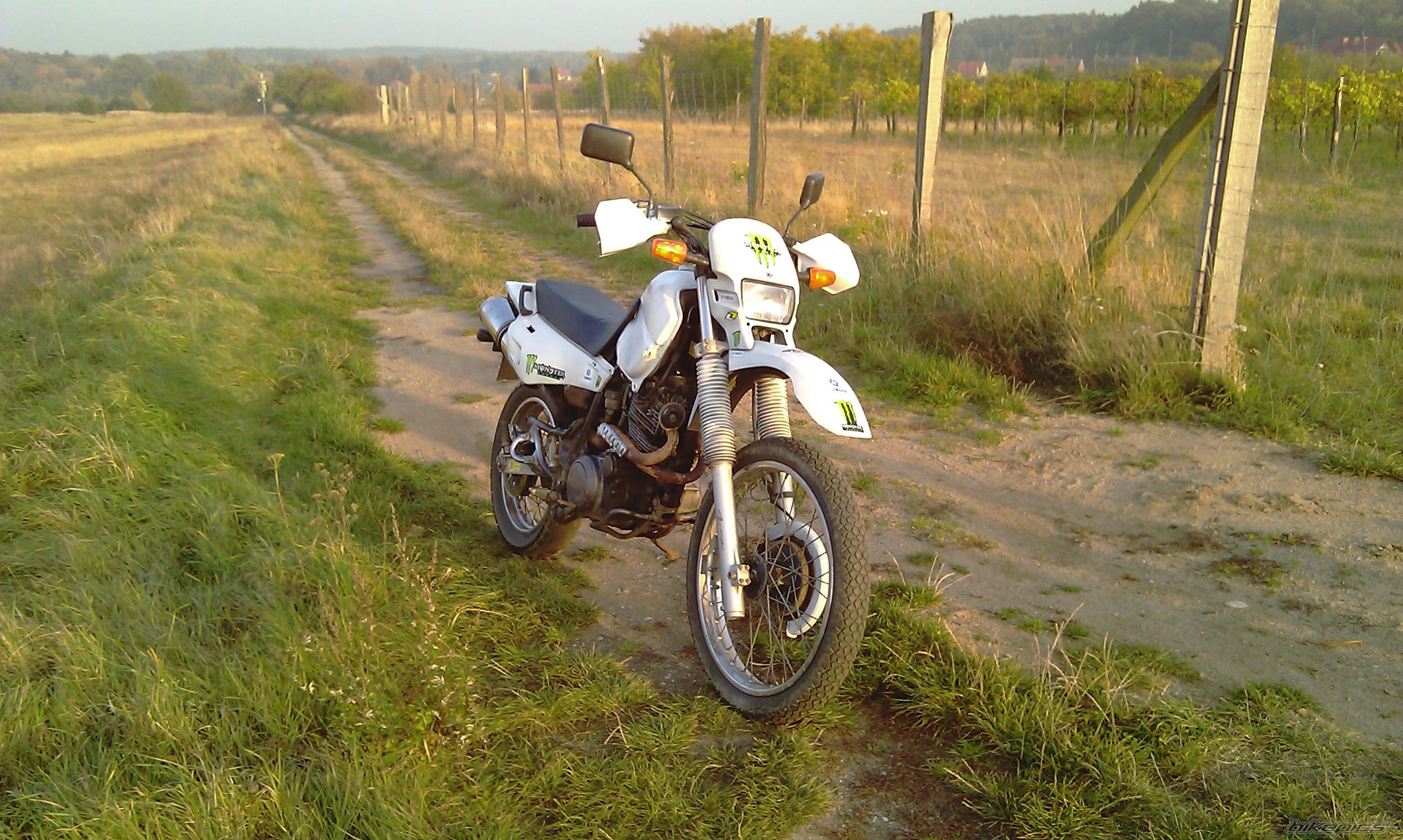 Photo 2337312