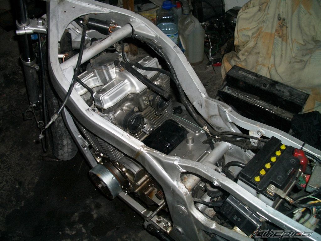 Photo 2337317
