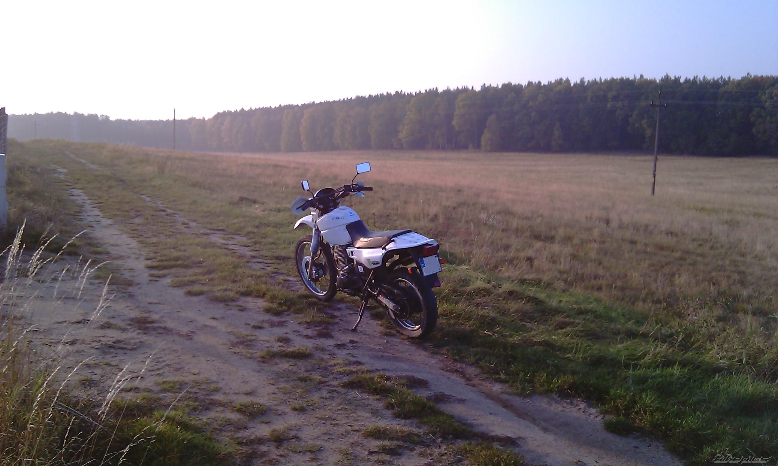Photo 2337318