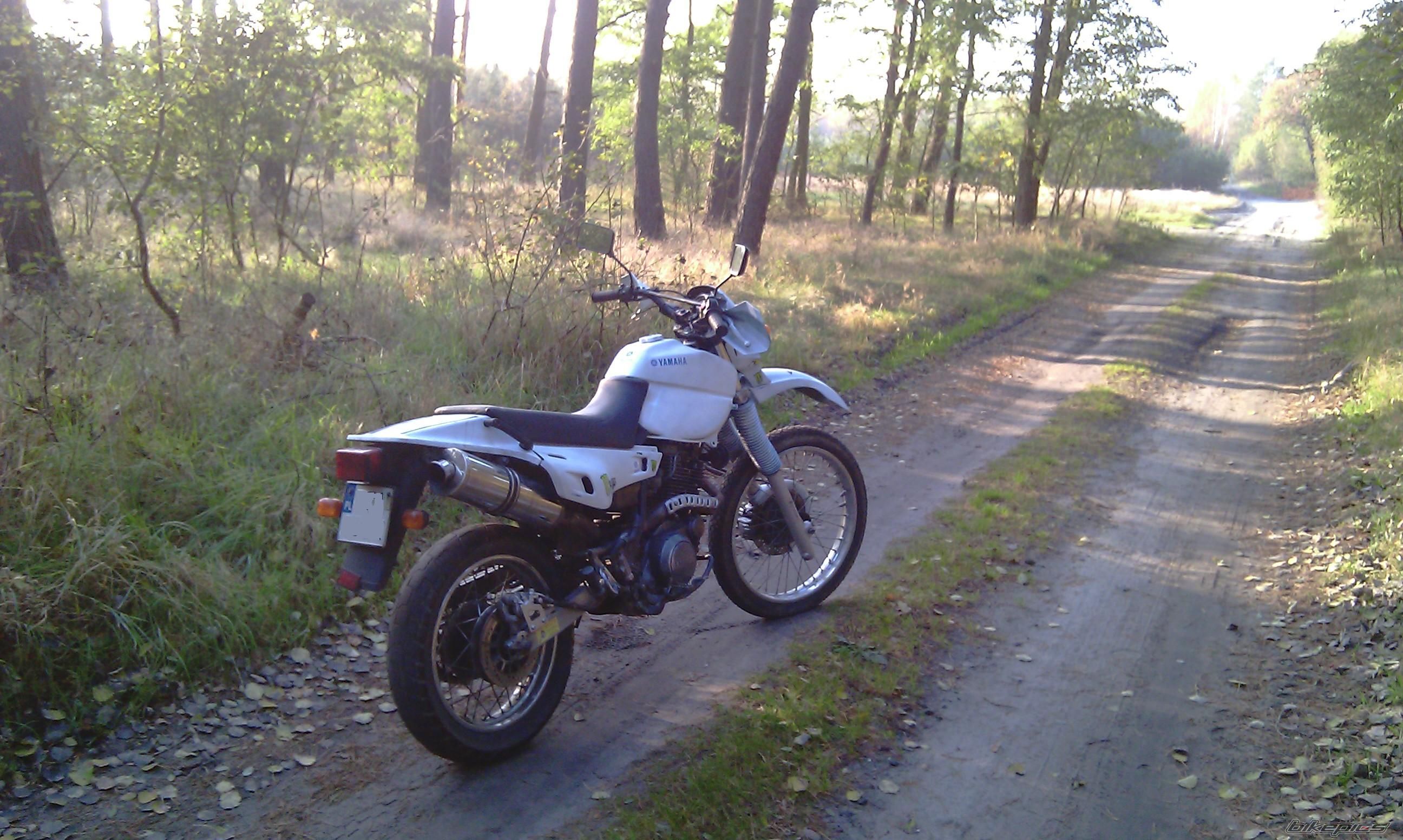 Photo 2337325