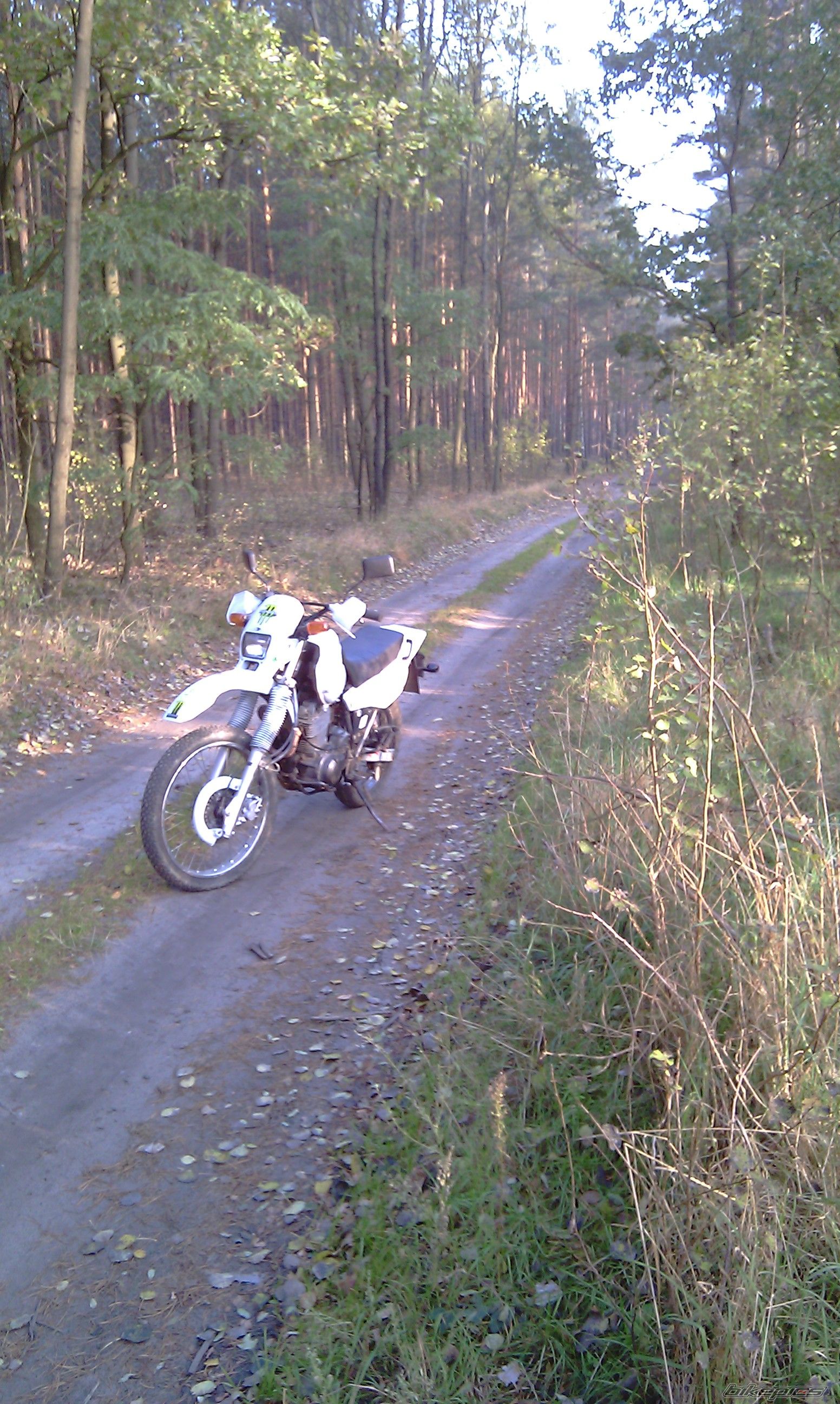 Photo 2337328