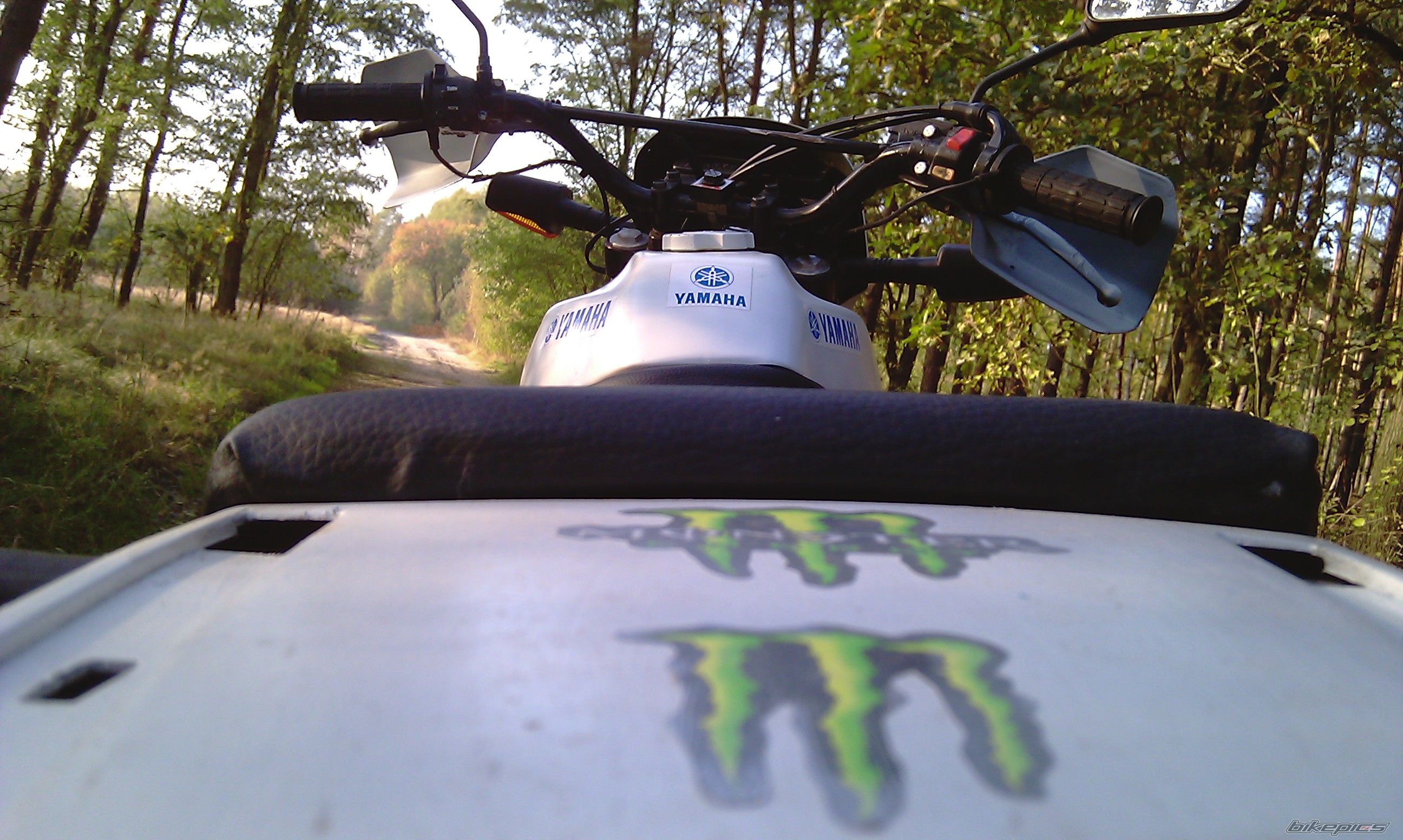 Photo 2337333