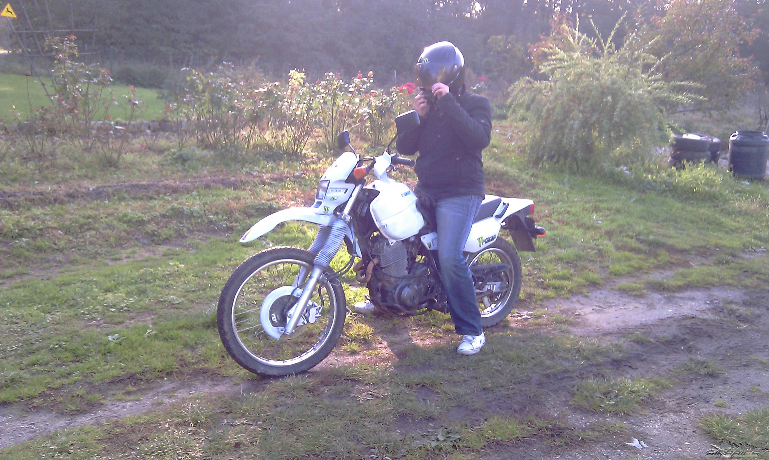 Photo 2337335