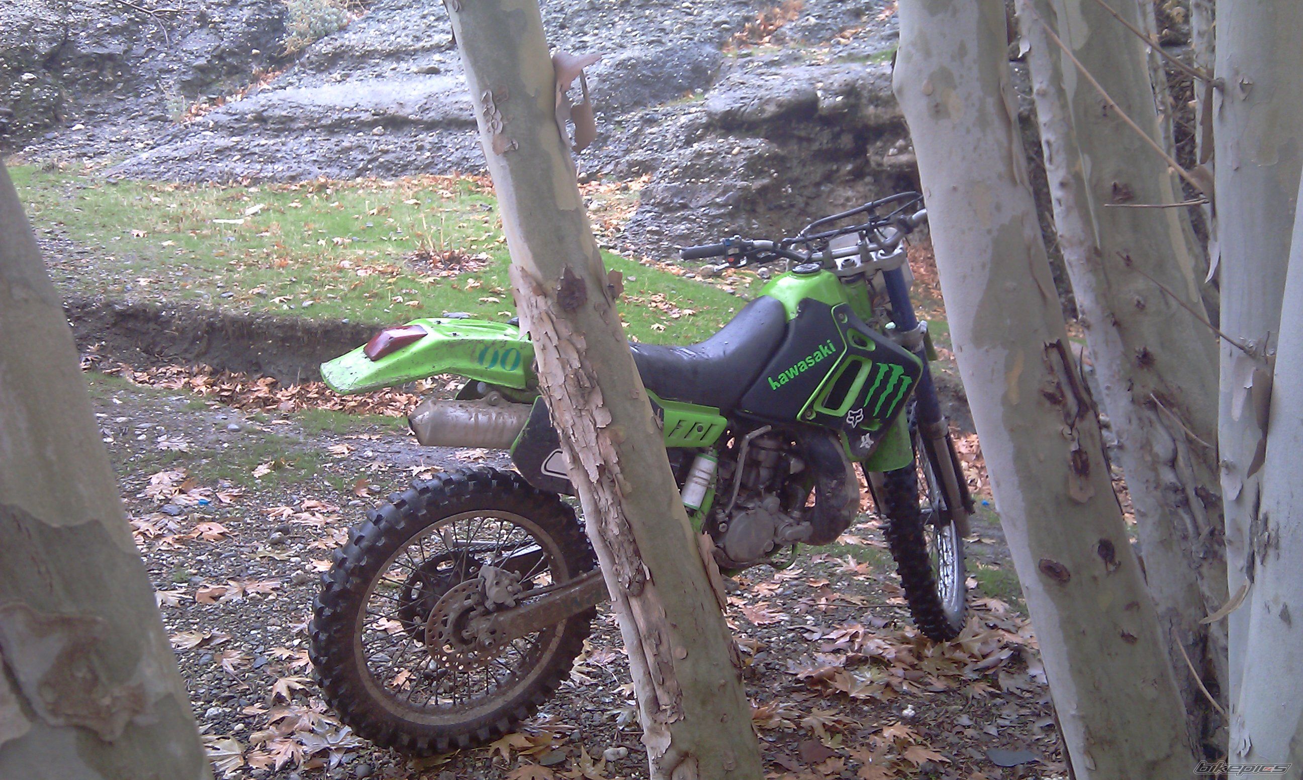 Photo 2337372
